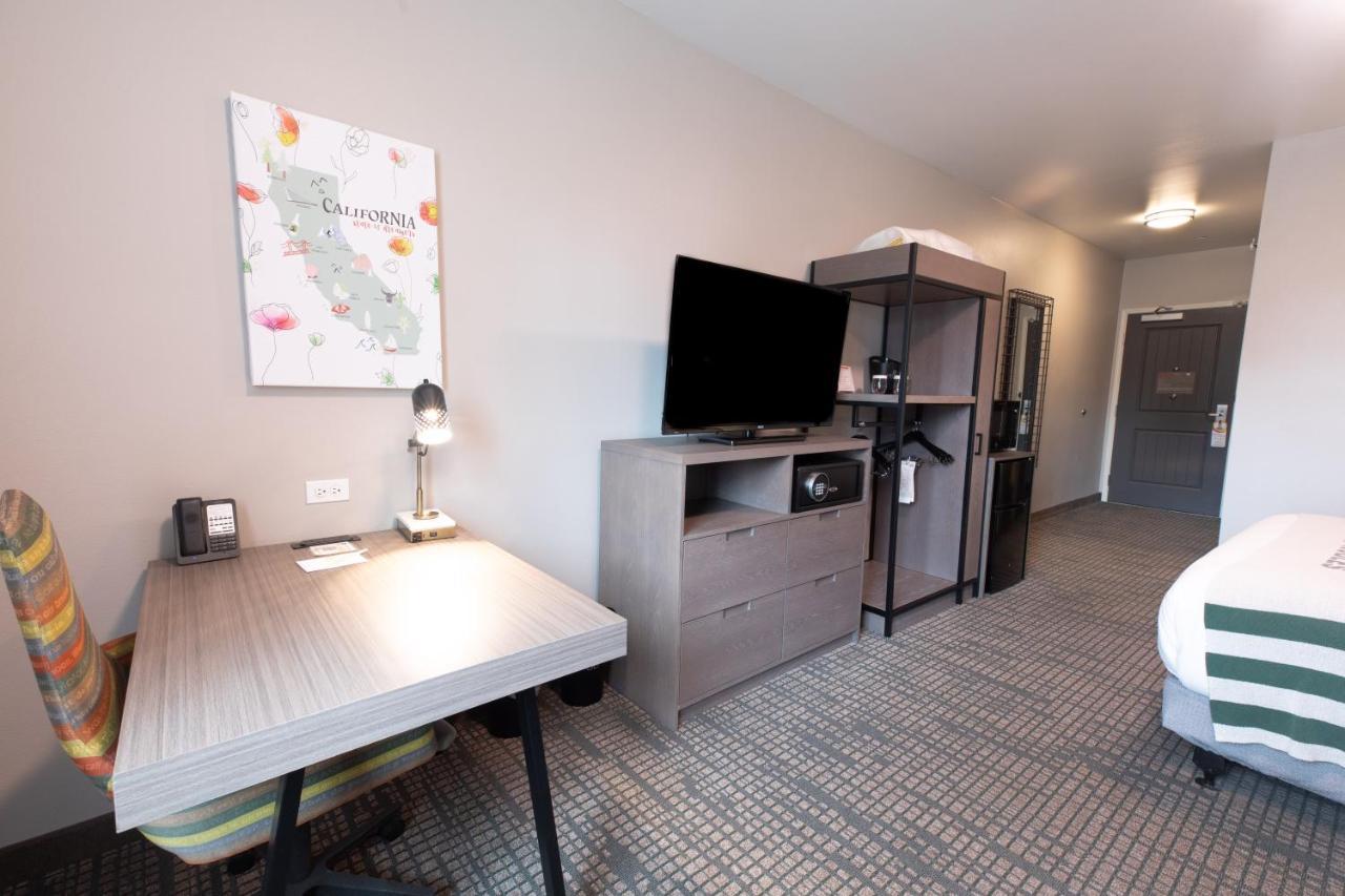 King Suite with Roll-In Shower