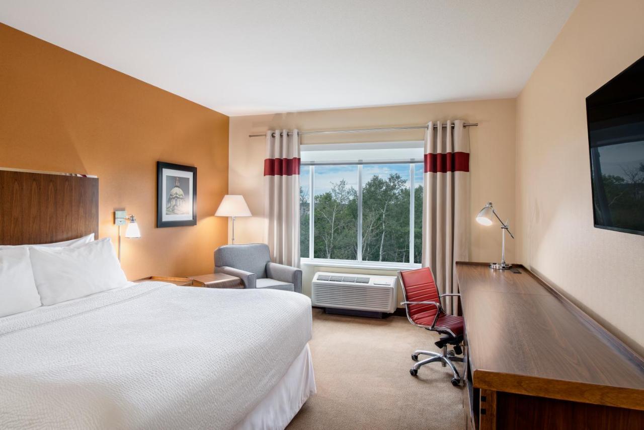 Guest Room, 1 King