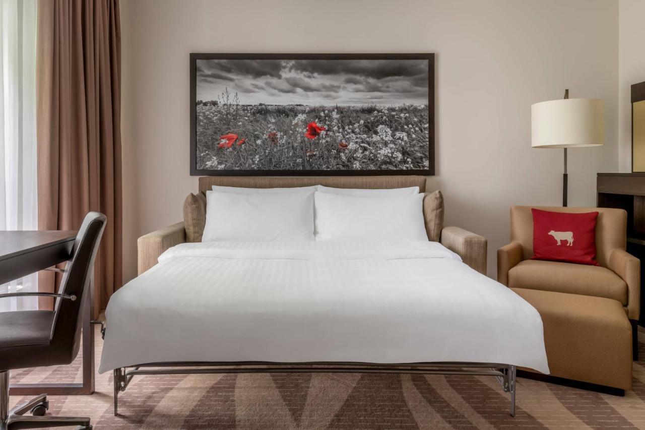 One-Bedroom King Suite