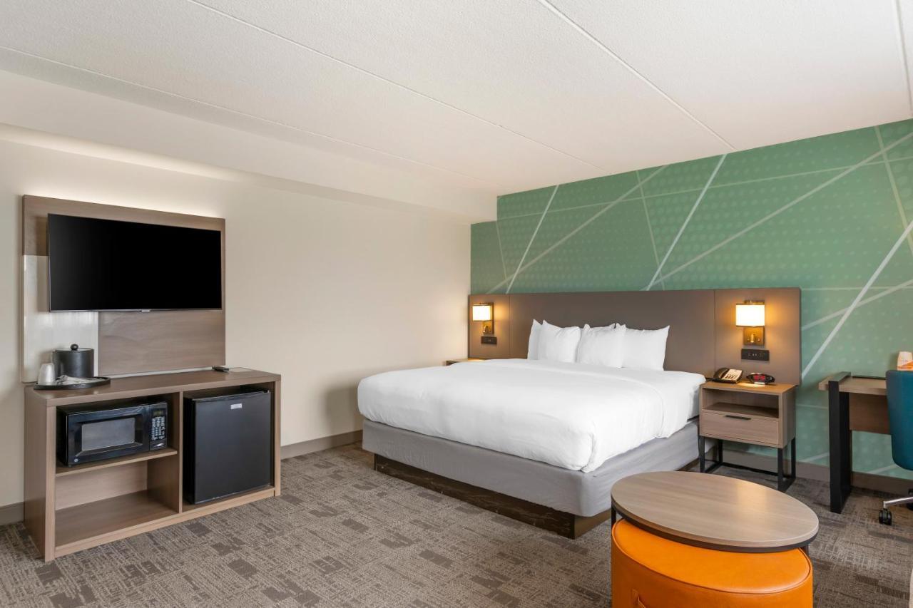 Standard King Room with Sofa Bed - Non-Smoking