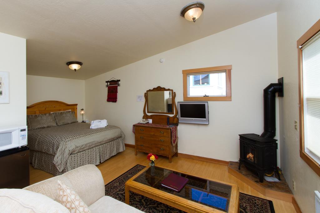 Queen Suite Sofa Bed Pet Friendly