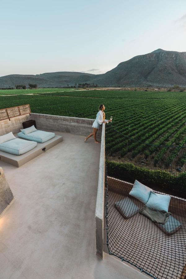 Mountain Sky Suite 1 King Bed