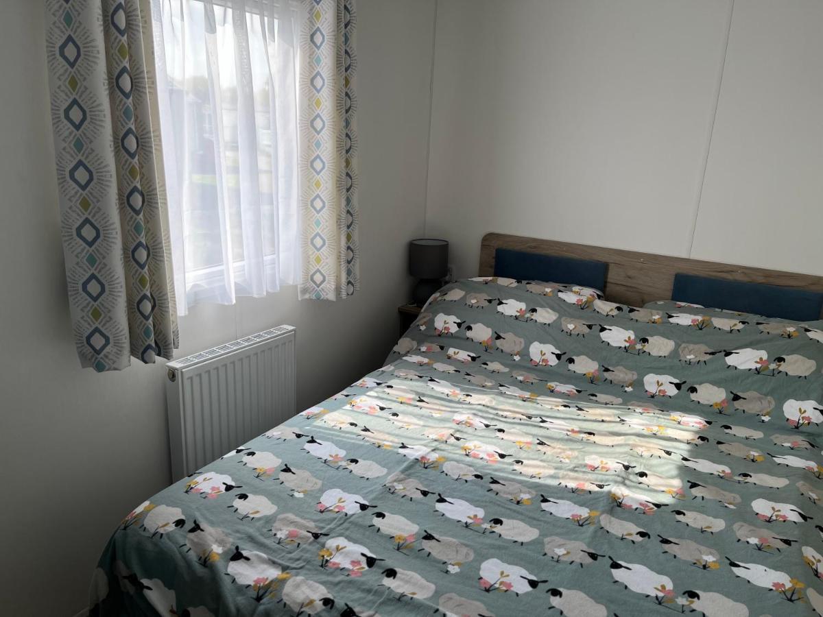 2 Single Beds Studio Room Kitchenette
