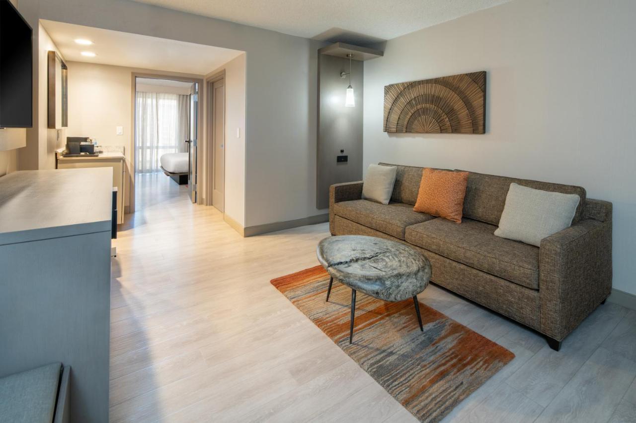 King Suite with Sofa Bed