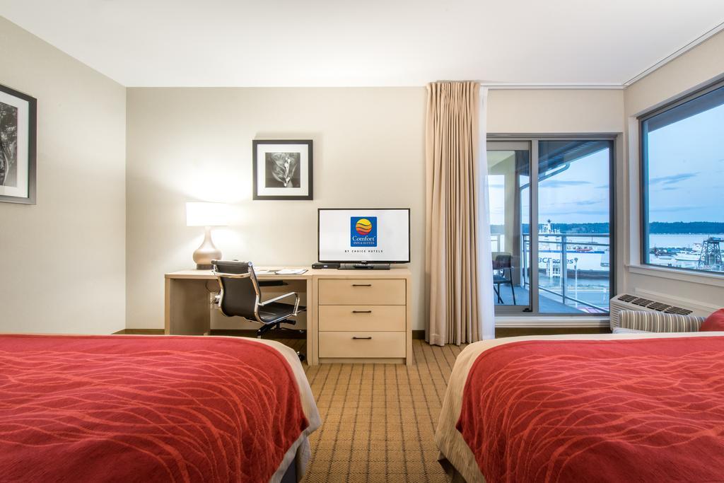 Deluxe Queen Room Two Queen Beds Ocean View