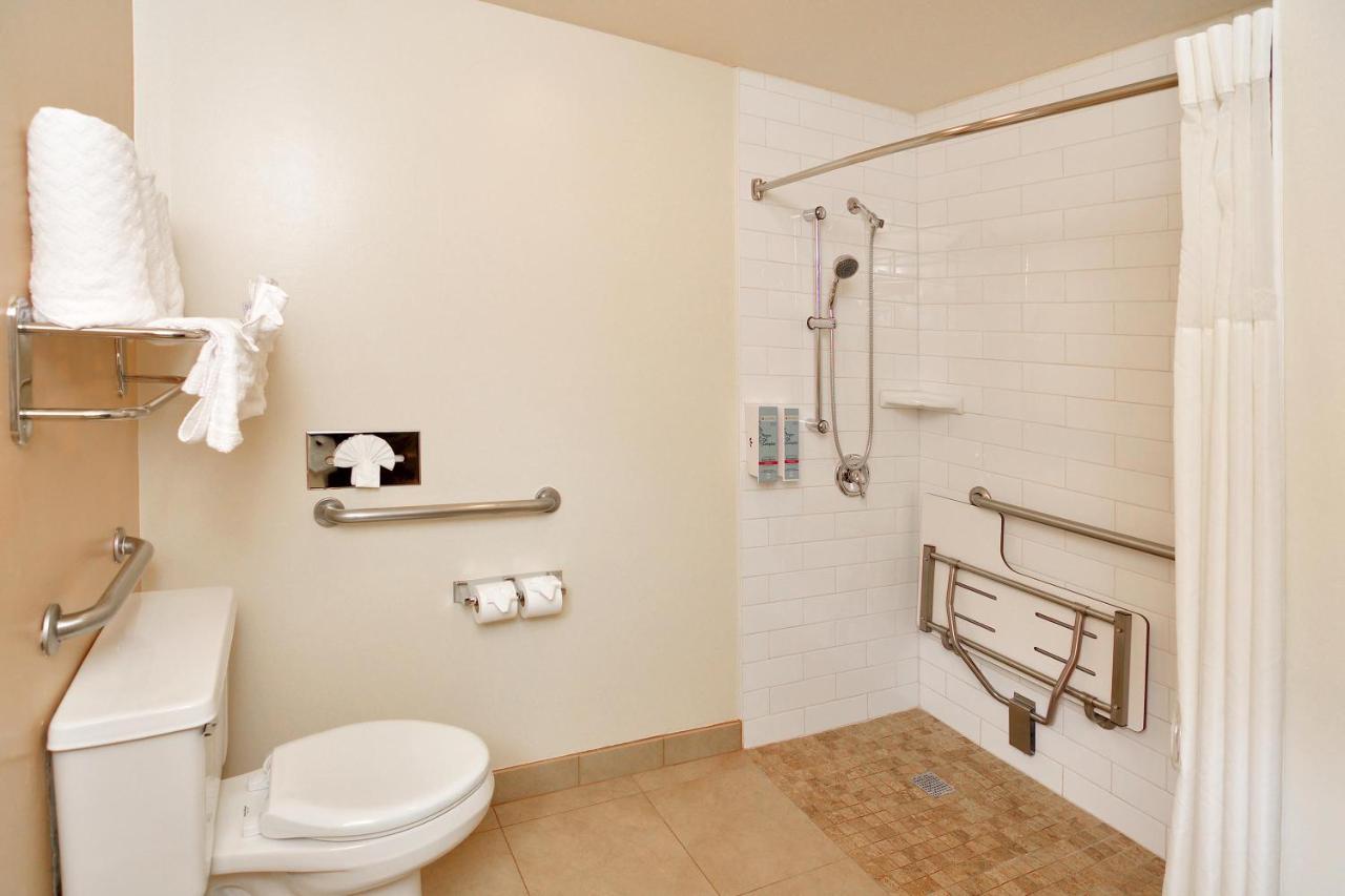King Room Roll Shower Disability Access