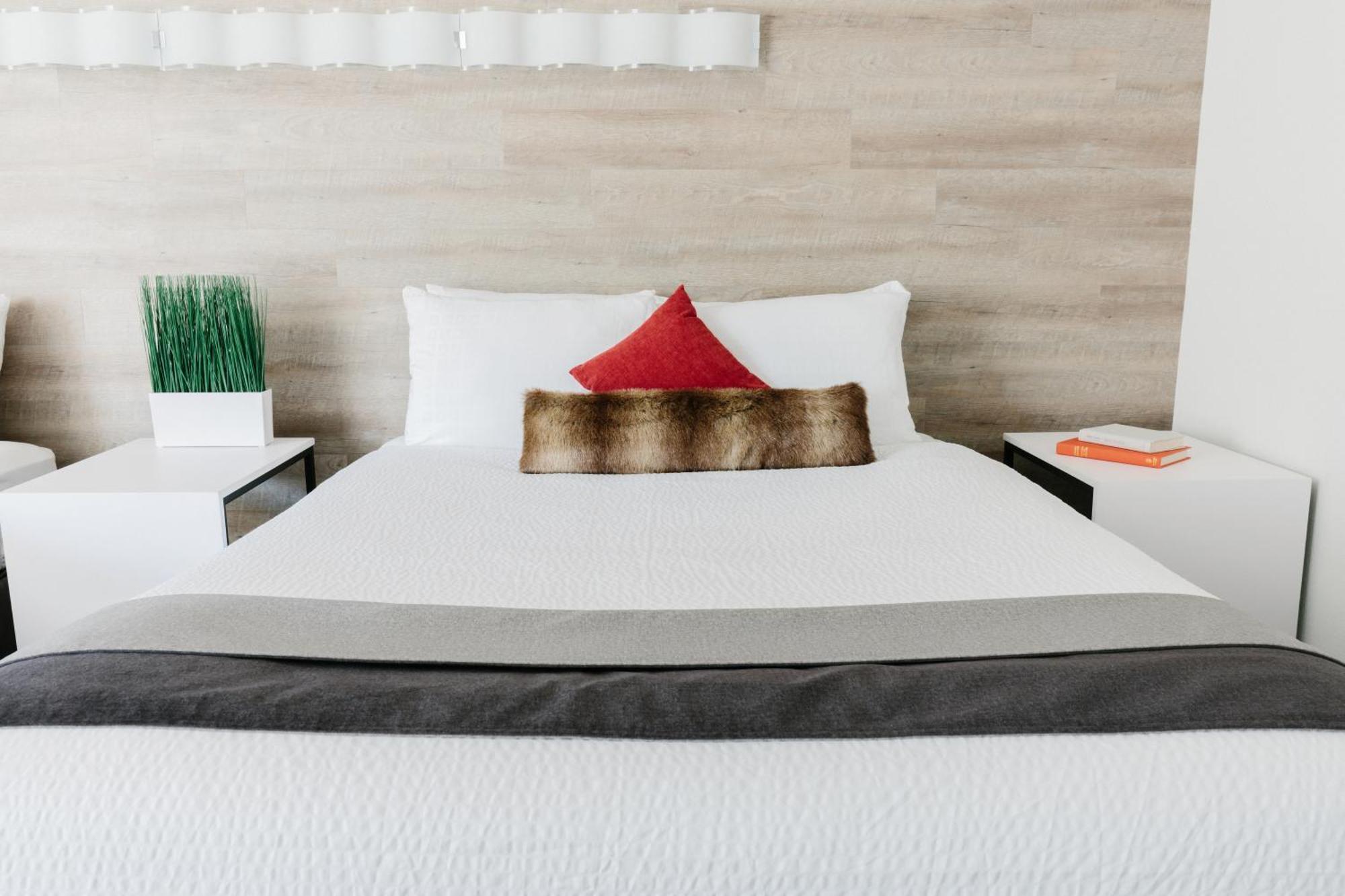 Standard Queen Room Two Queen Beds