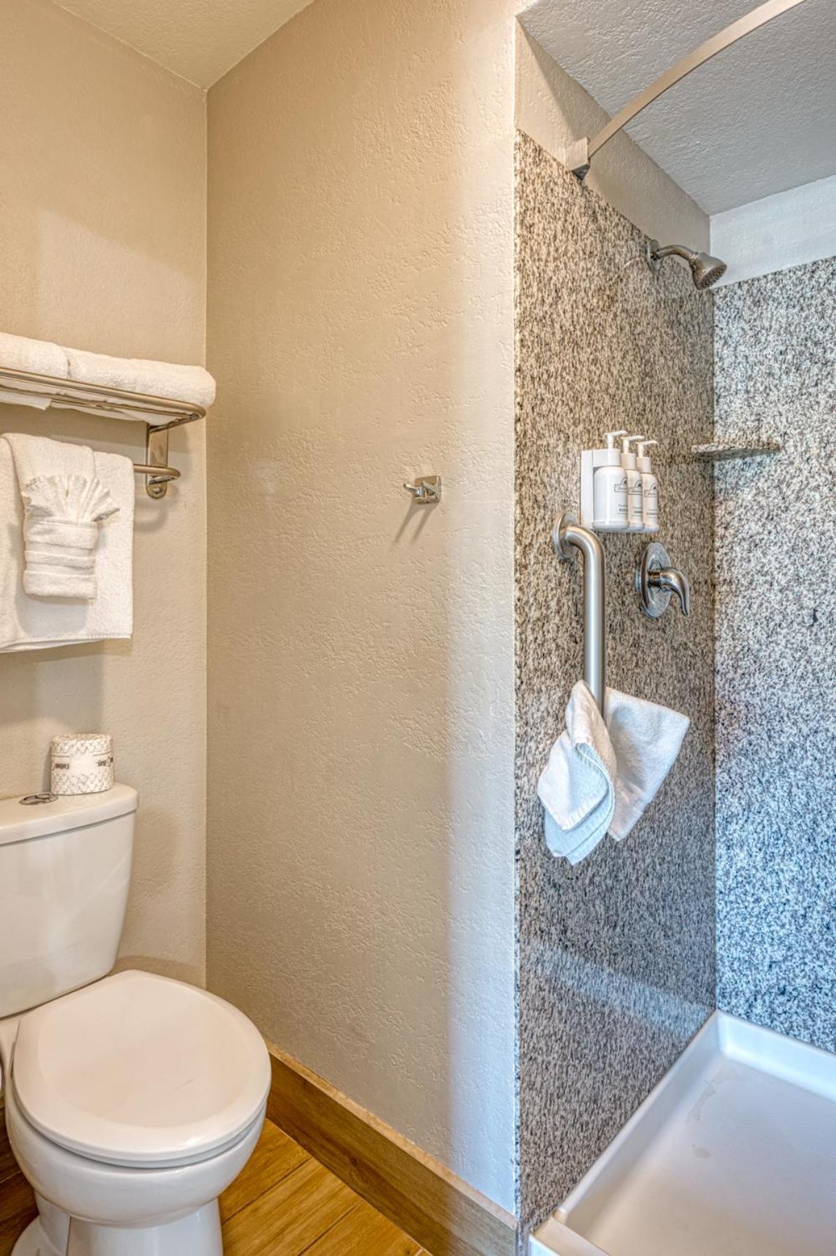 Deluxe King Suite