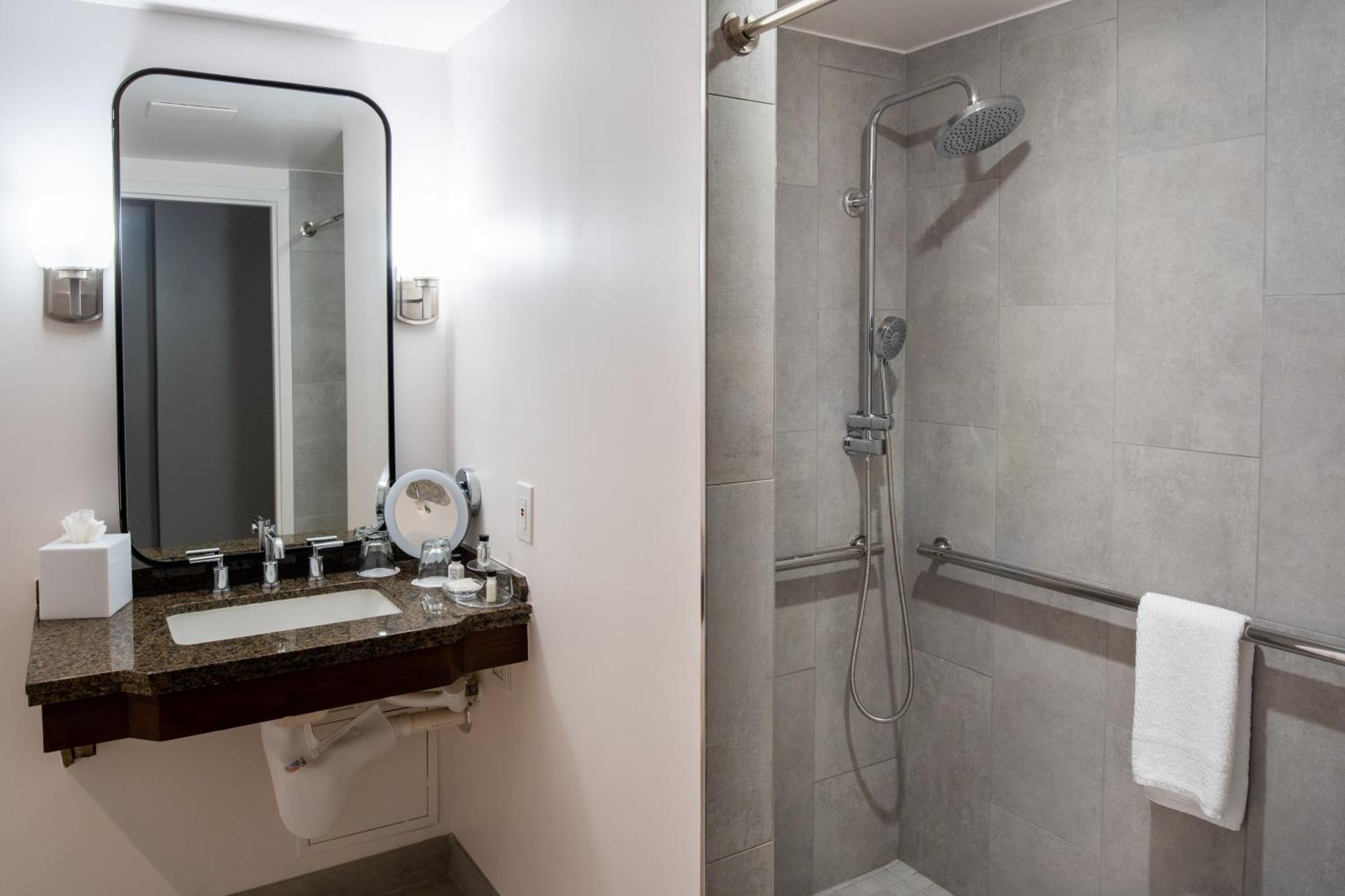 Standard King Room Mobility Accessible Tub