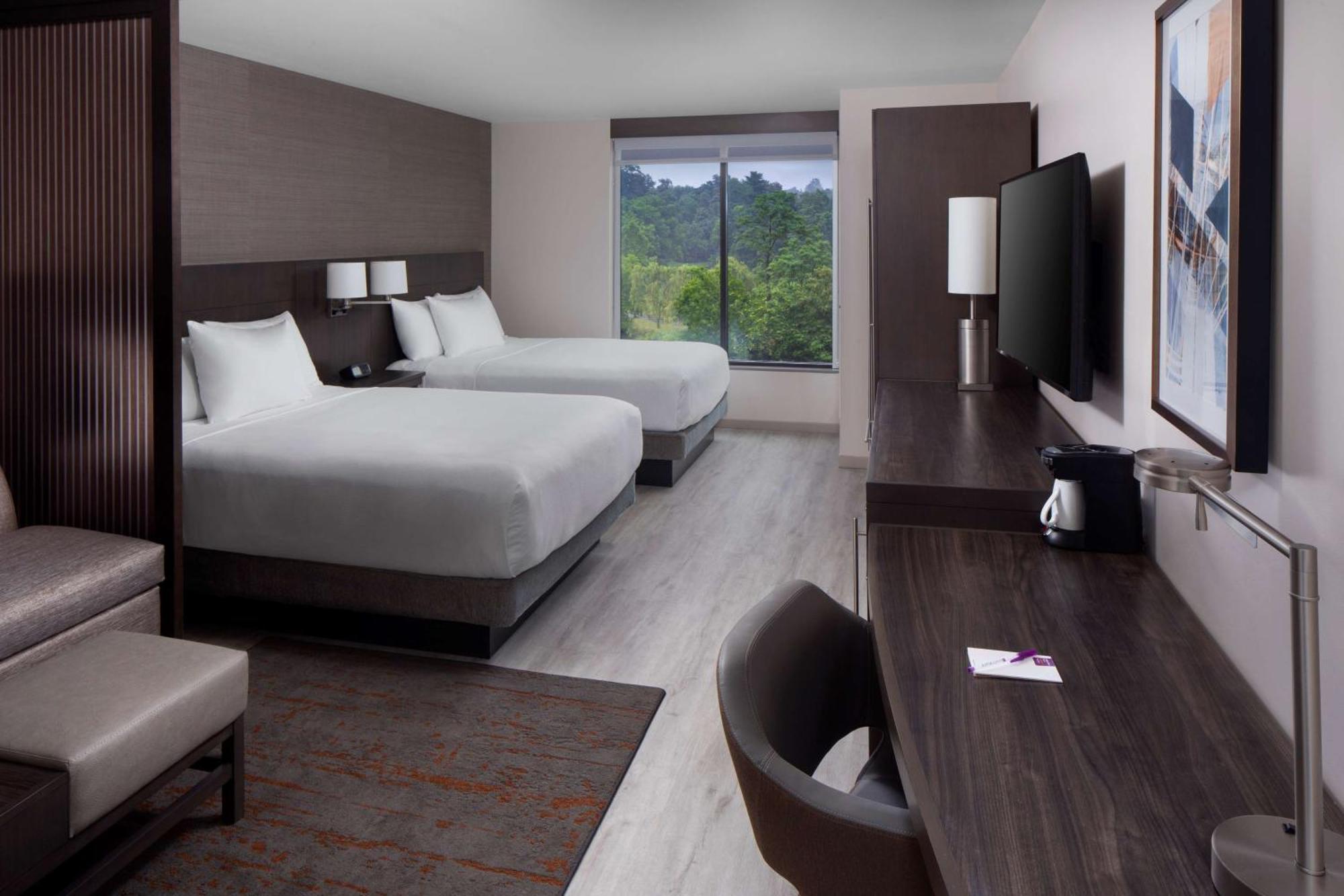 Queen Room Two Queen Beds Sofa Bed