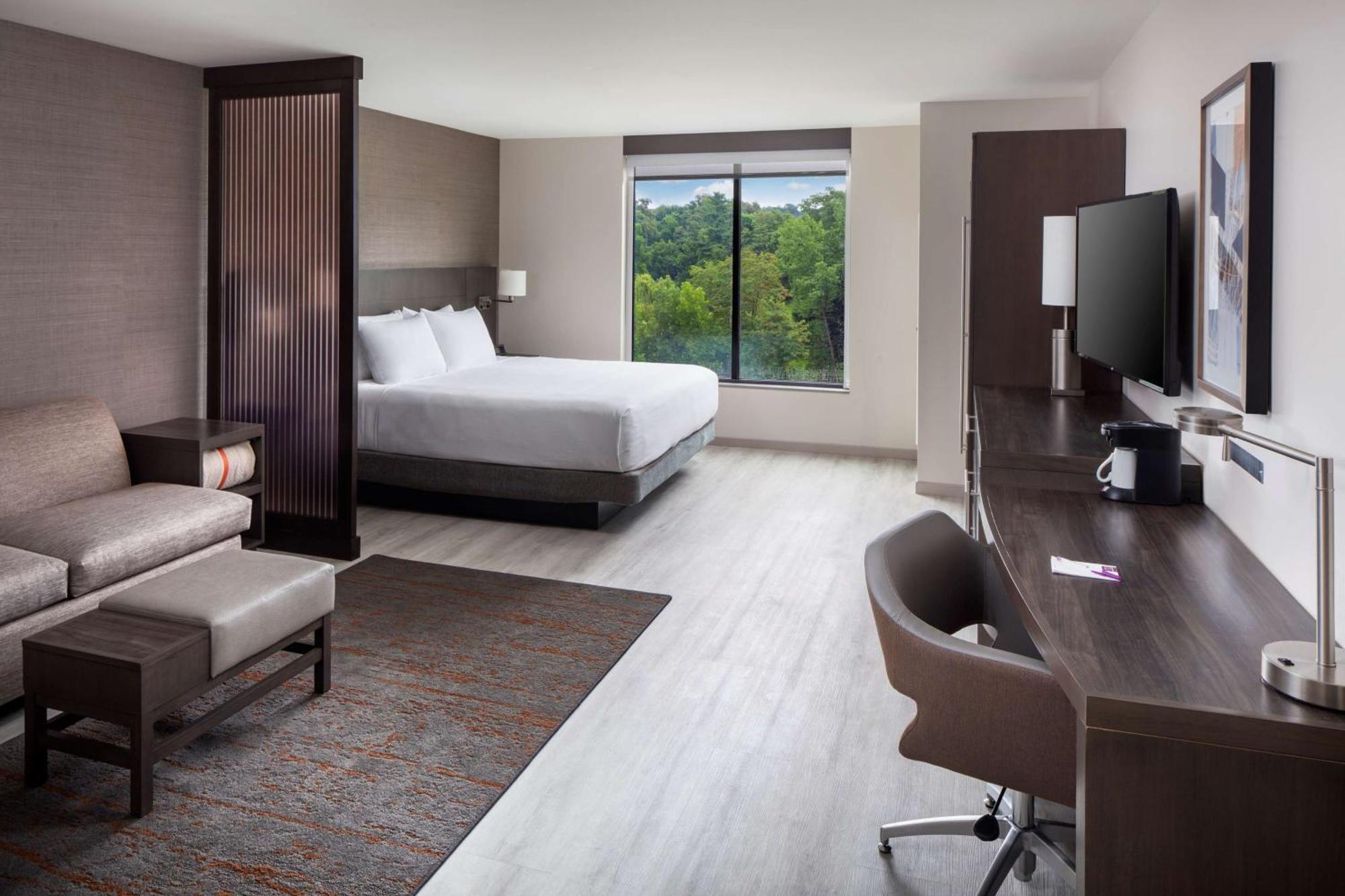 King Room Sofa Bed High Floor