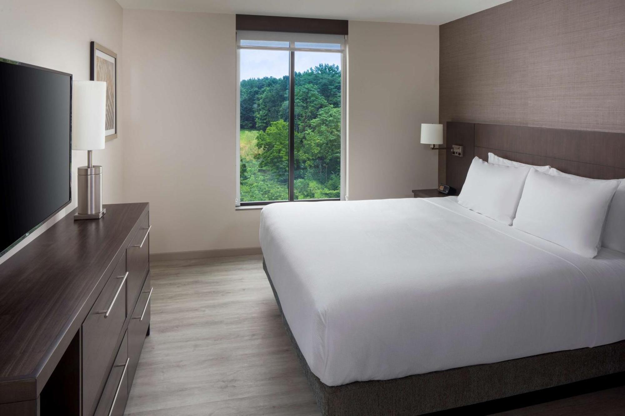 King Room Sofa Bed High Floor
