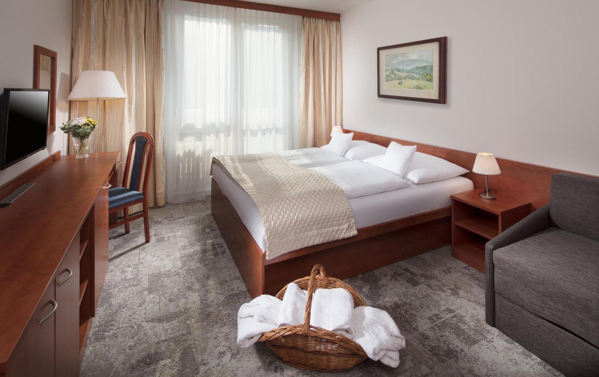 Superior Double or Twin Room Wellness Access
