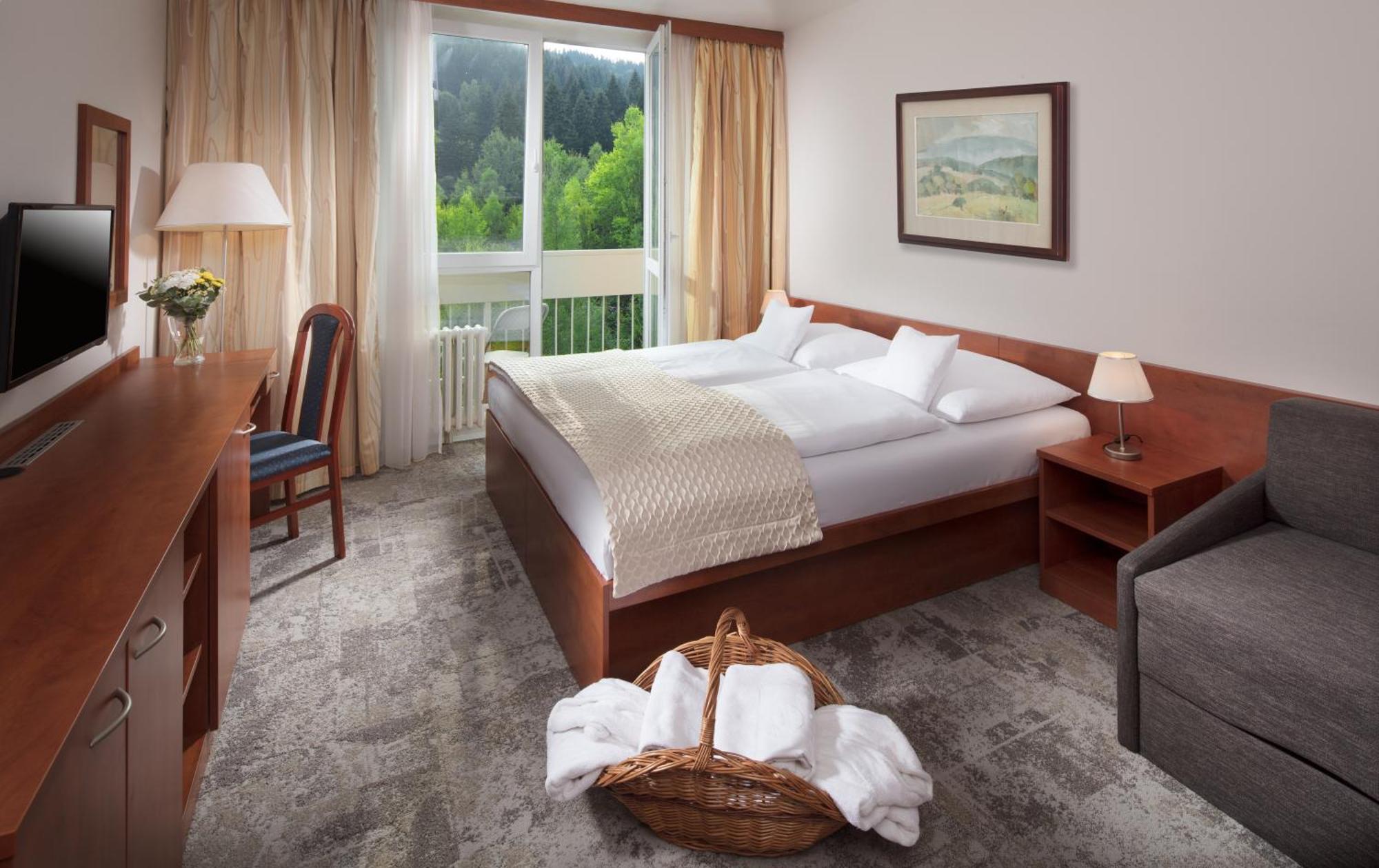 Superior Double or Twin Room Wellness Access