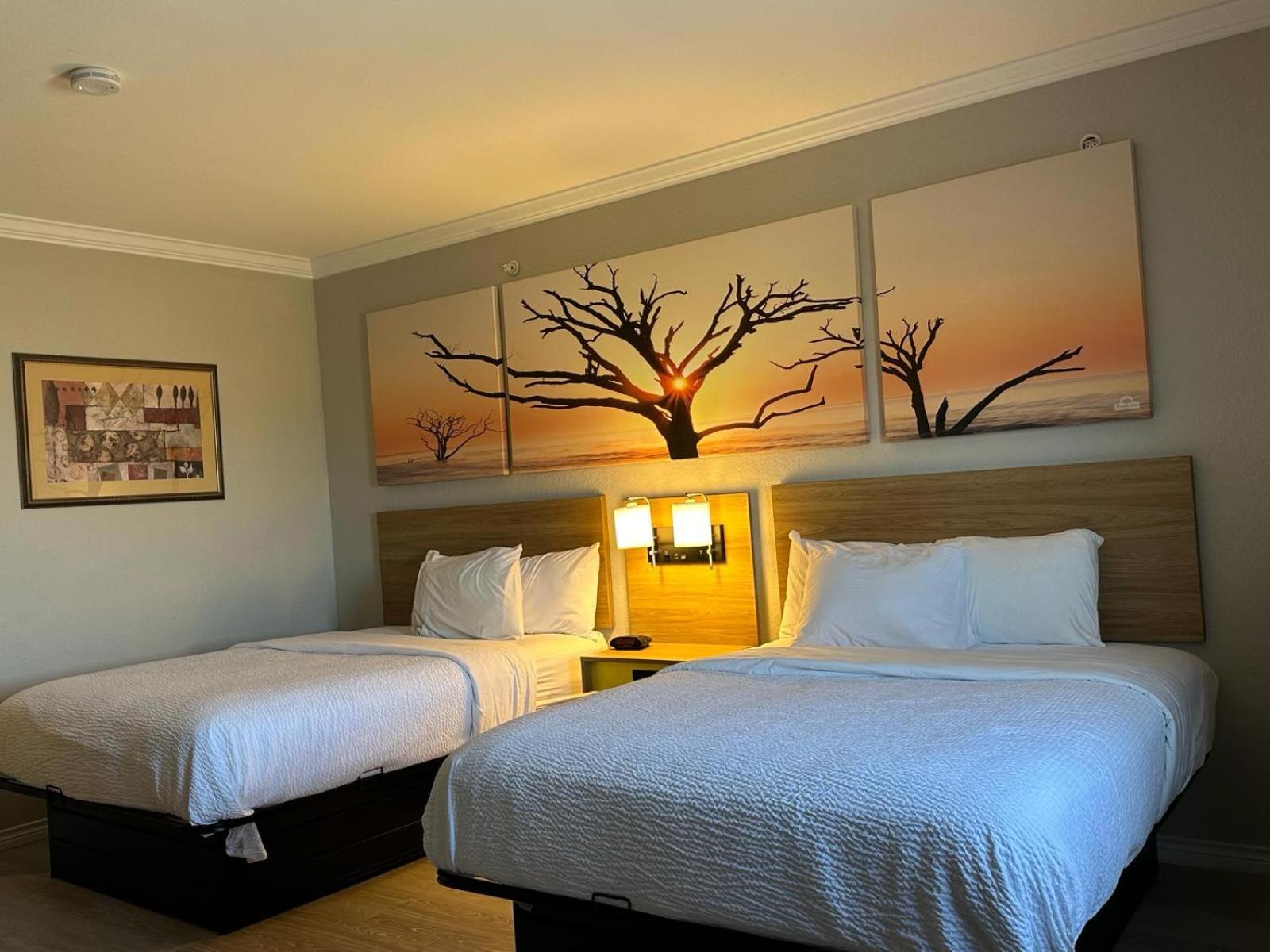 Queen Room with Two Queen Beds - Non-Smoking