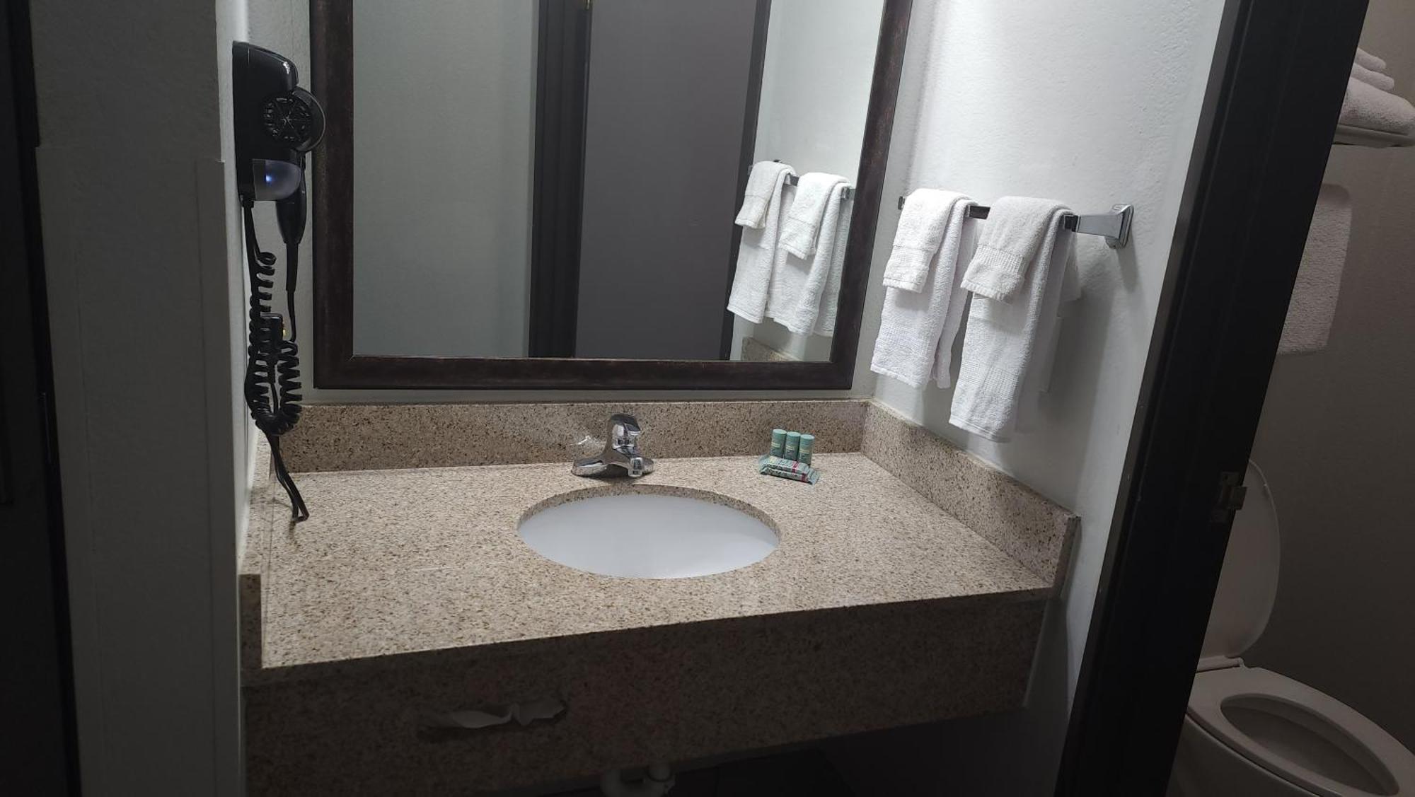 King Room Bath Tub Sofa Bed Mobility Accessible