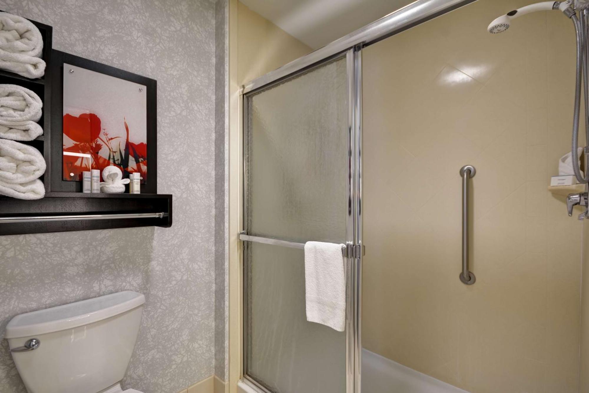 King Studio Suite Non-Smoking