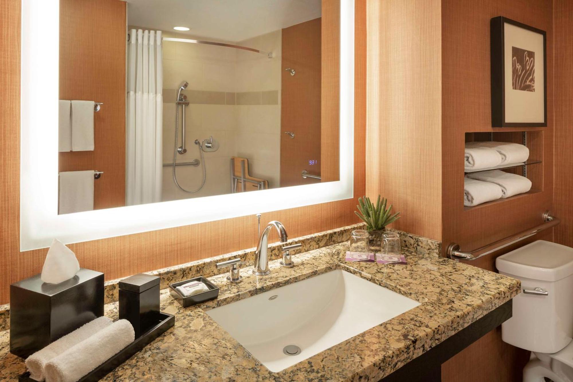 King Room Accessible Shower Disability Access