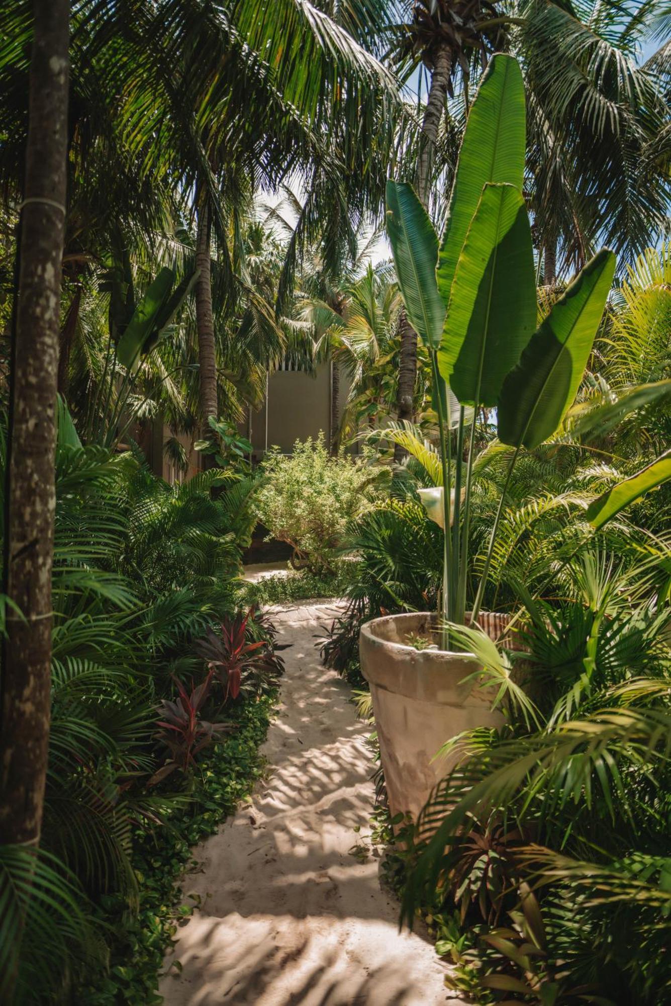 Junior Suite Garden View