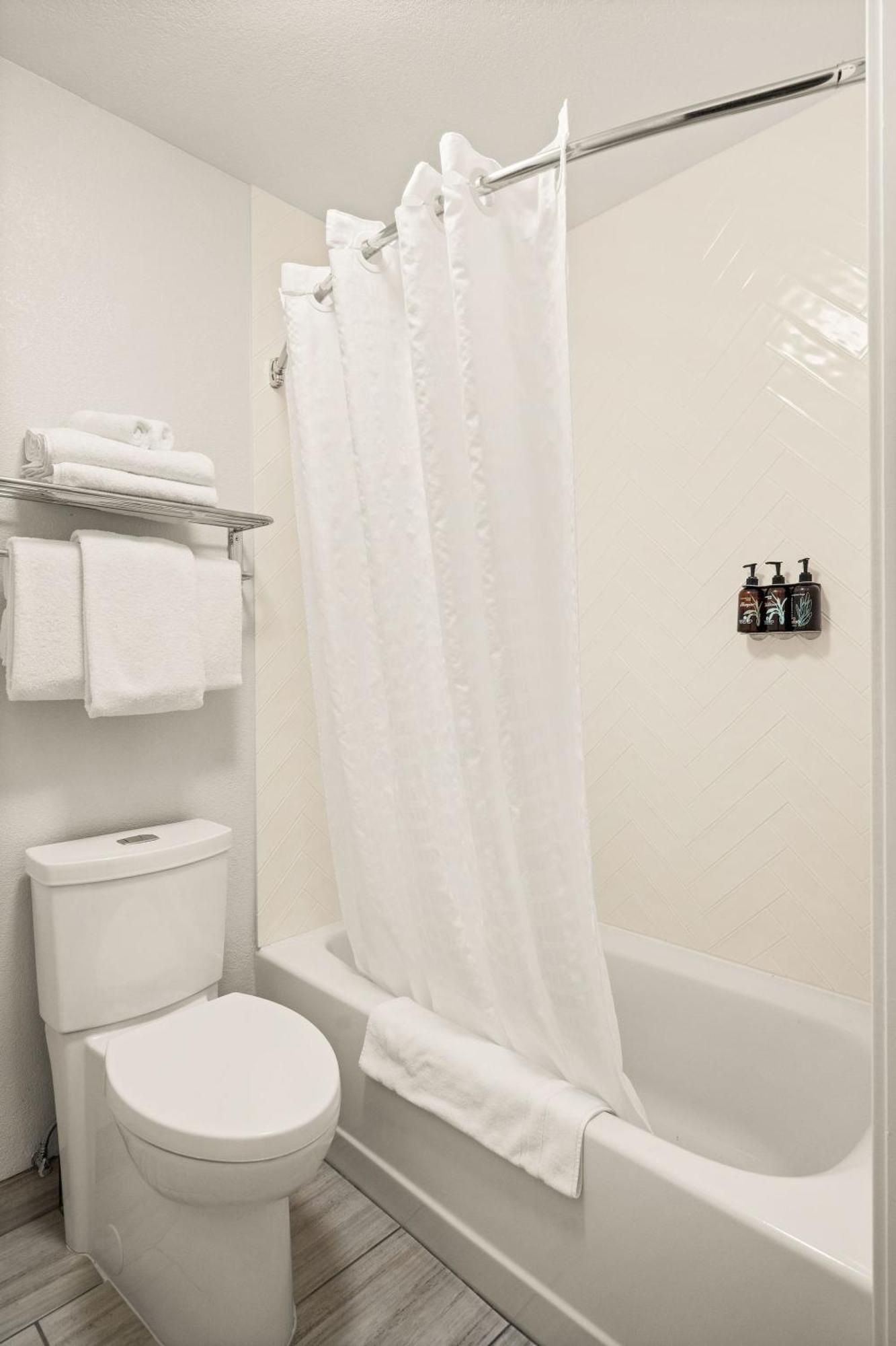 Executive 2 Queen Suite