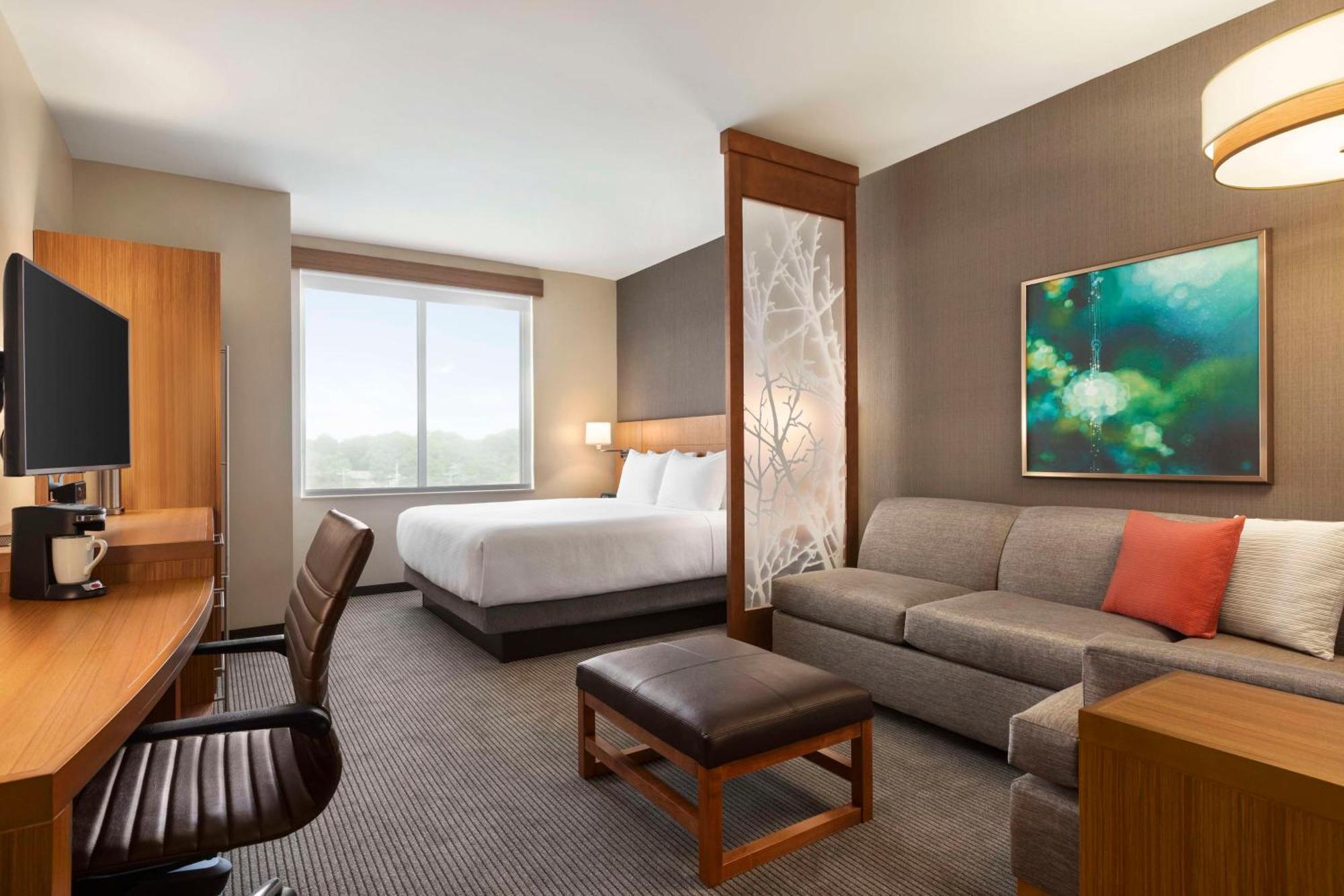 King Room Sofa Bed