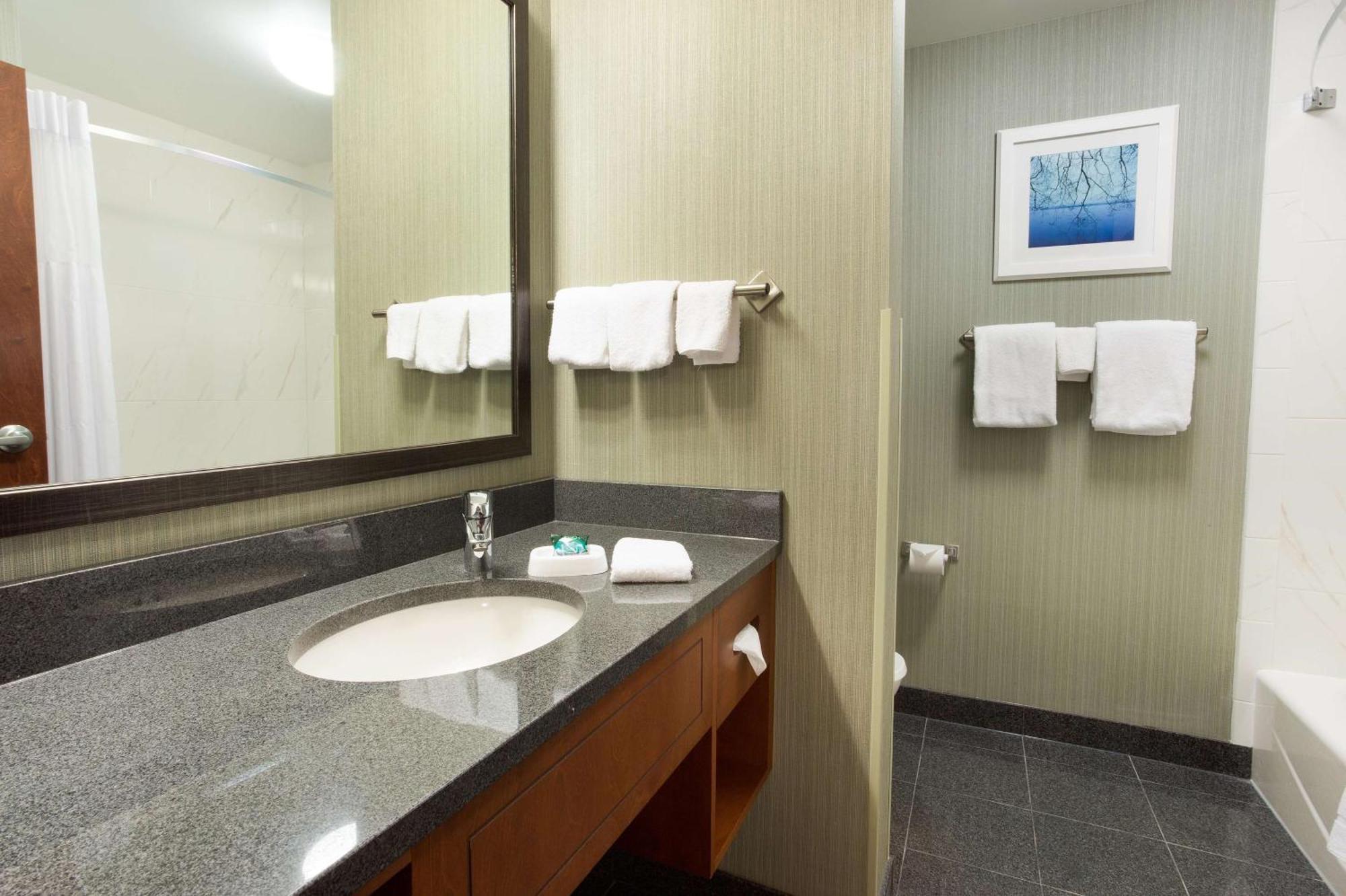 Deluxe King Room Hearing Accessible Shower