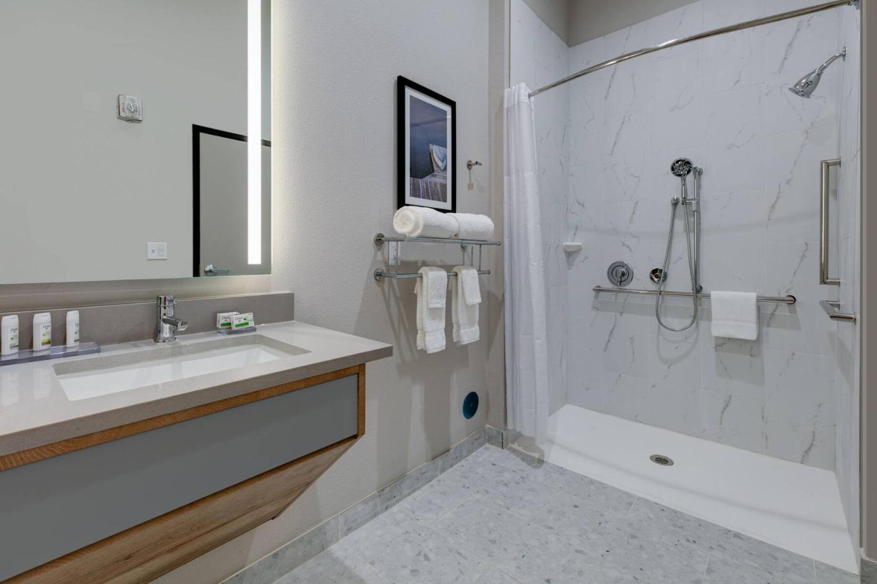 King Room Roll Shower Mobility Access or Non-Smoking