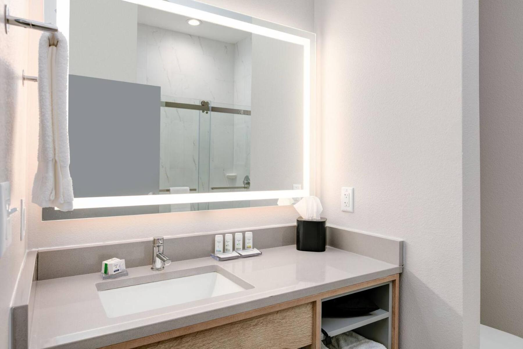 King Room Mobility Access Bathtub Grab Bars Non-Smoking