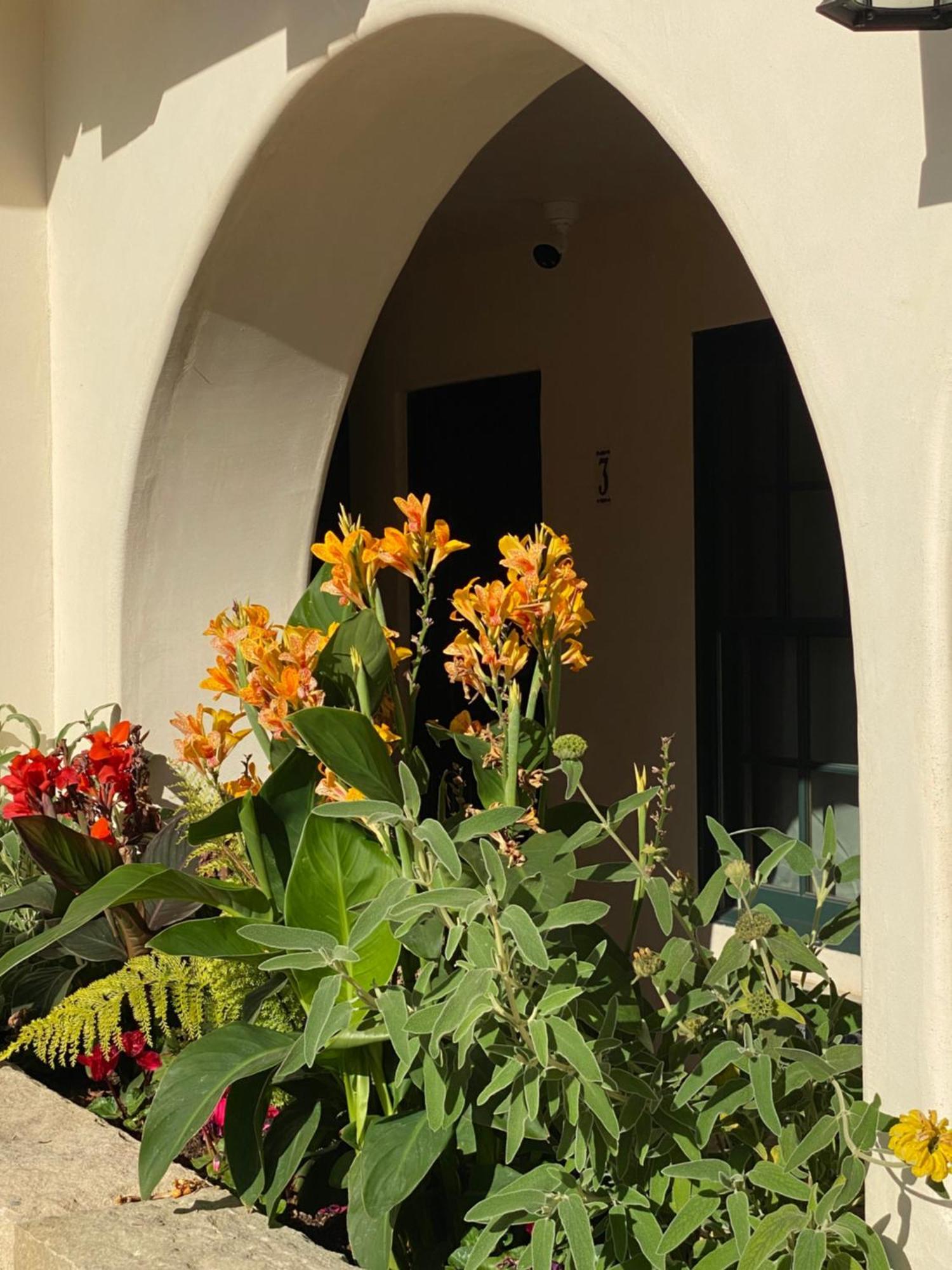 Apartment Terrace