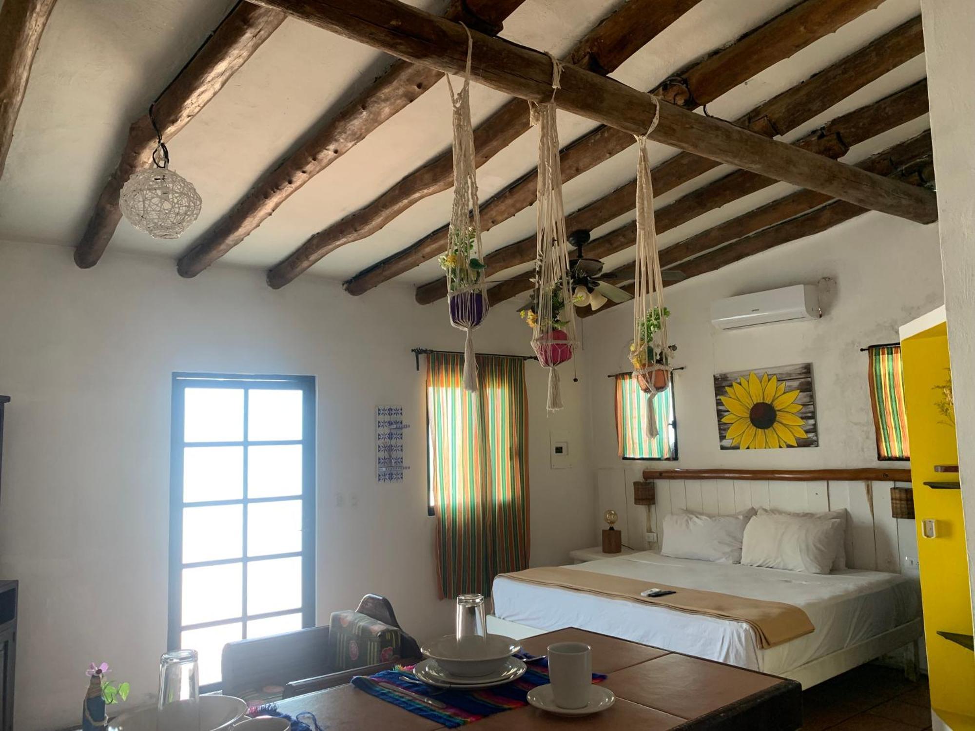 Junior Suite Terrace