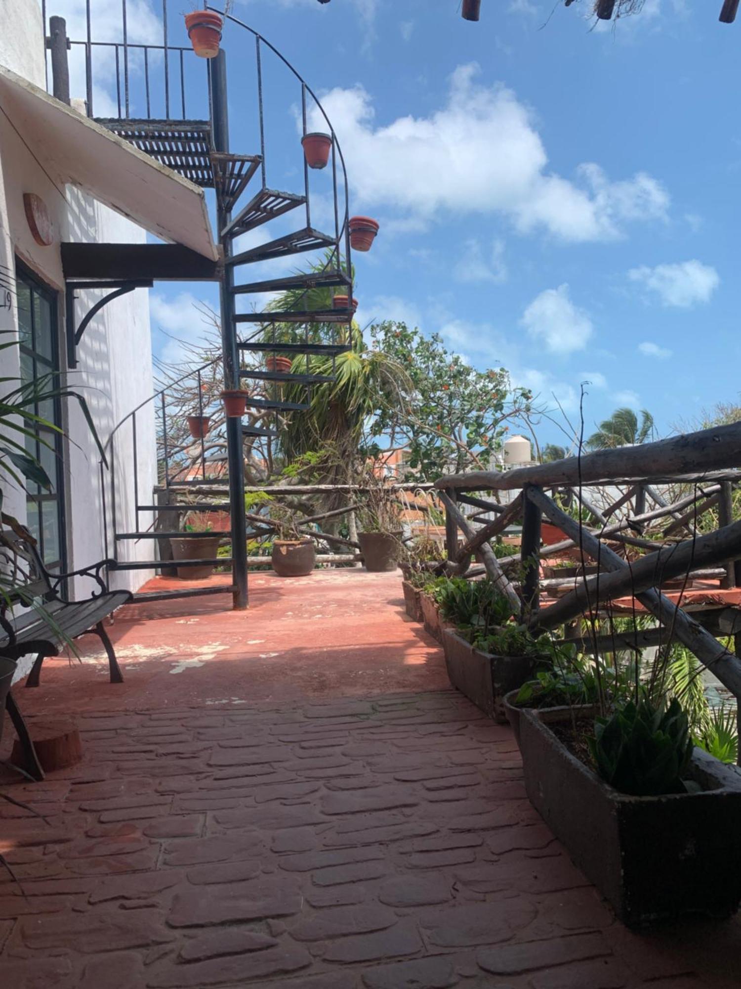 Junior Suite Terrace