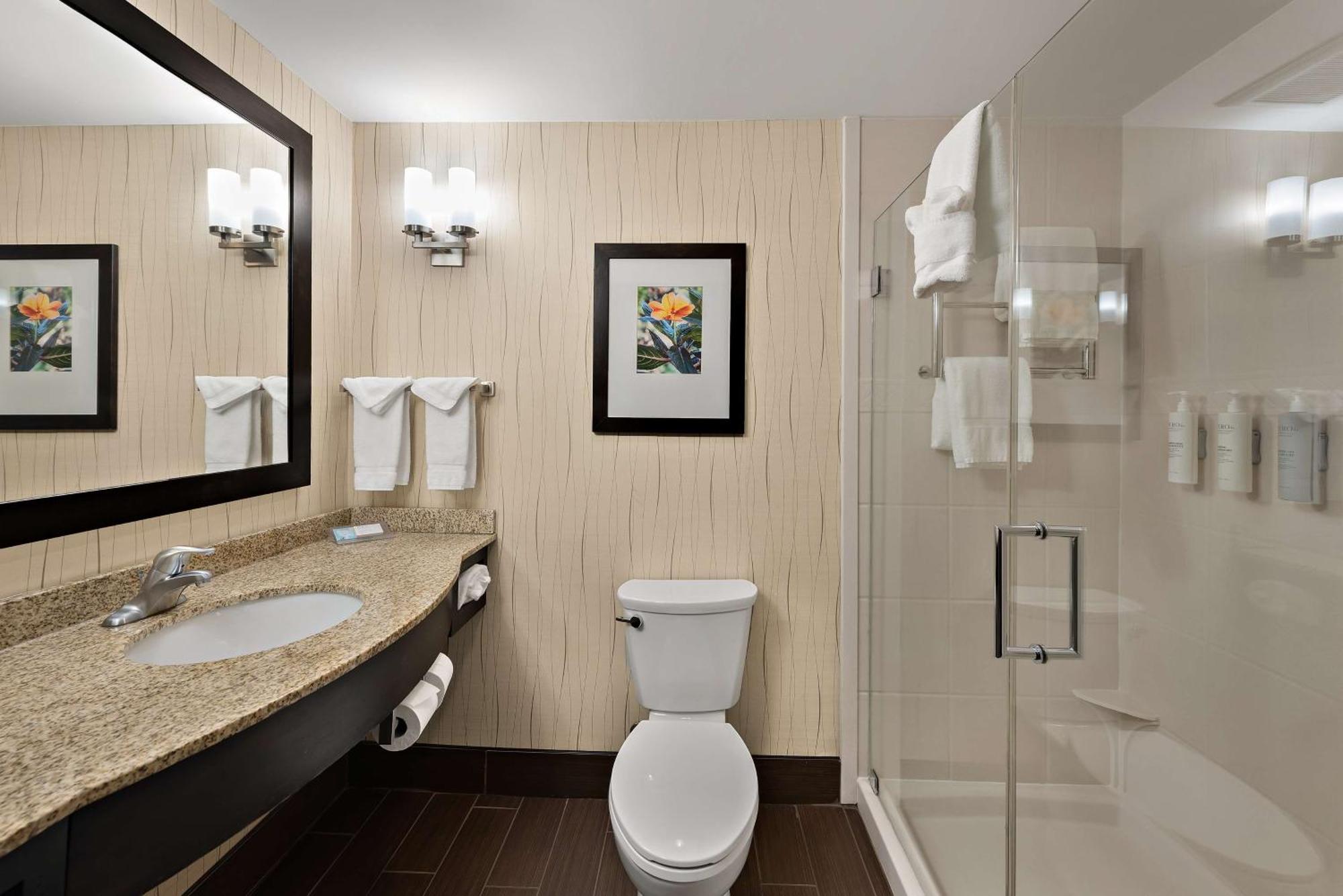 King Room,1547742019:JPEG