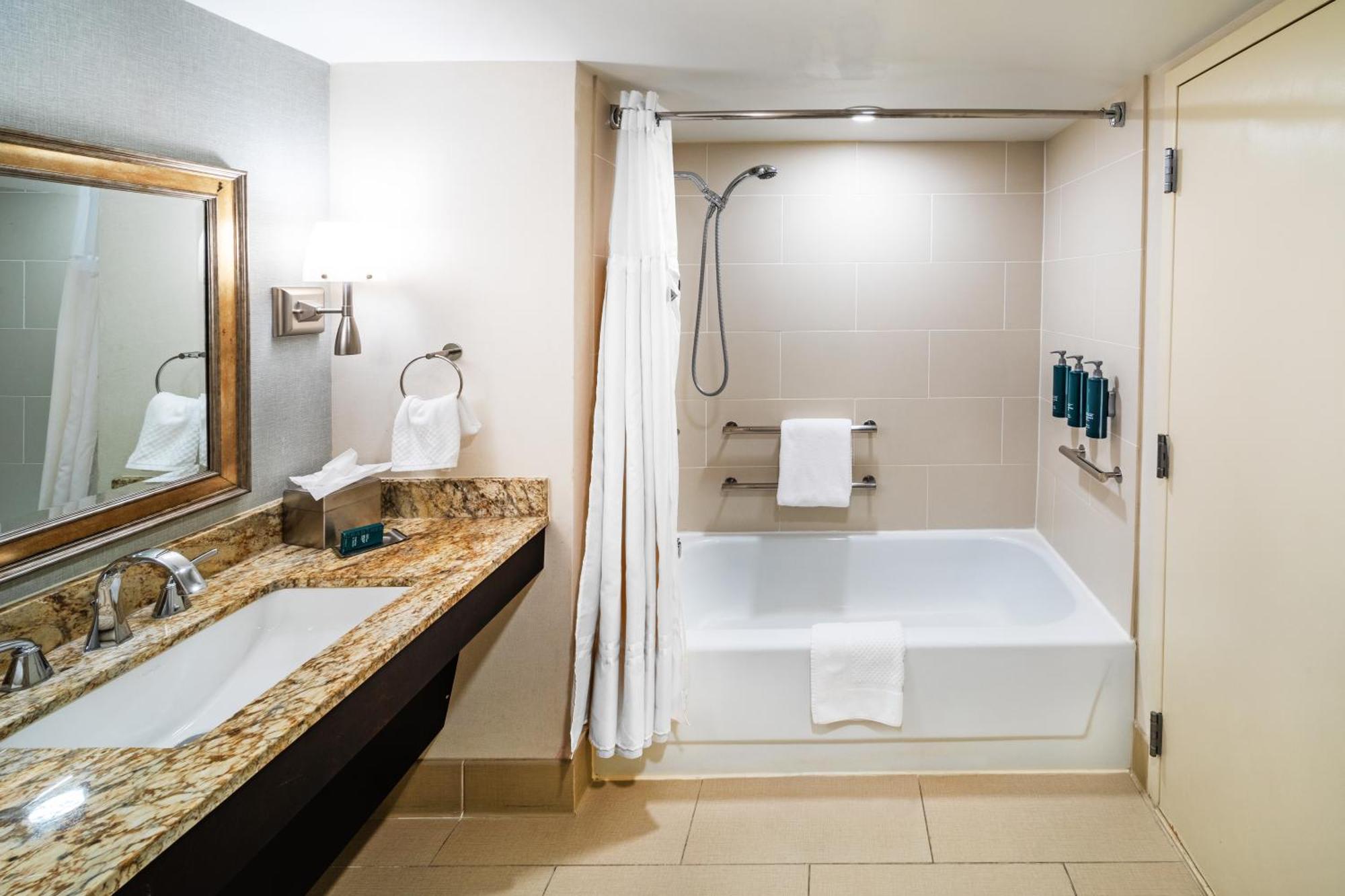 King Room Bath Tub Mobility Accessible,1629393393:JPEG