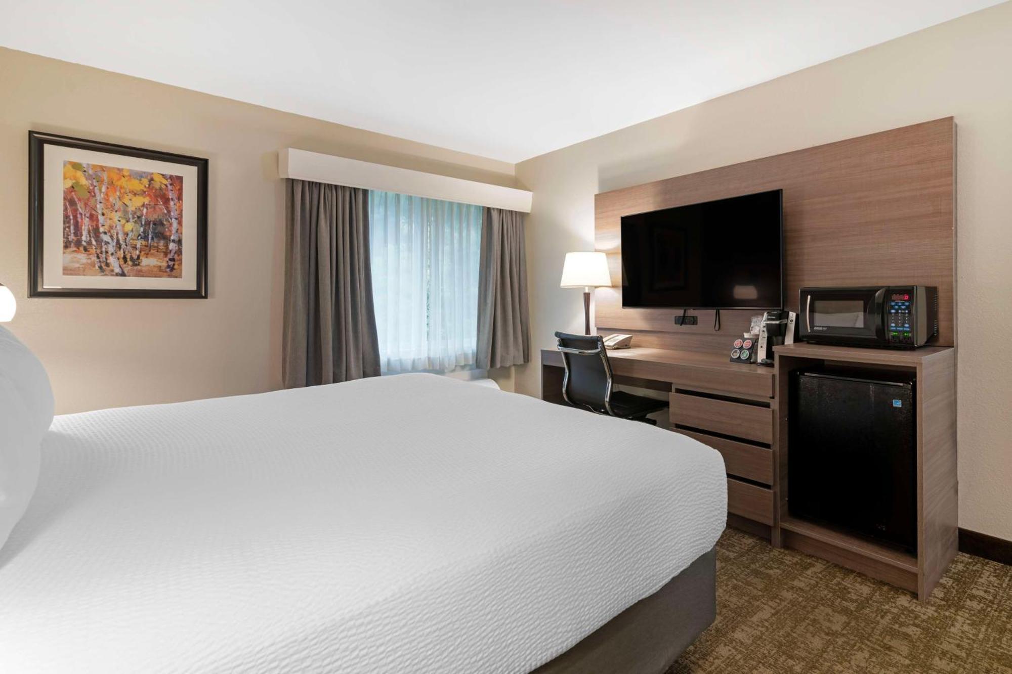 Queen Room Pet Friendly