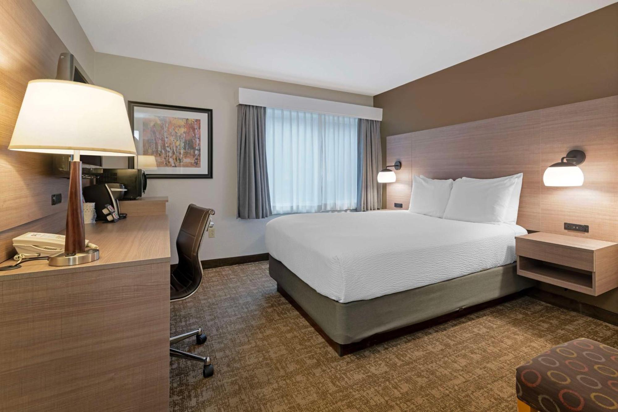 Queen Room Pet Friendly