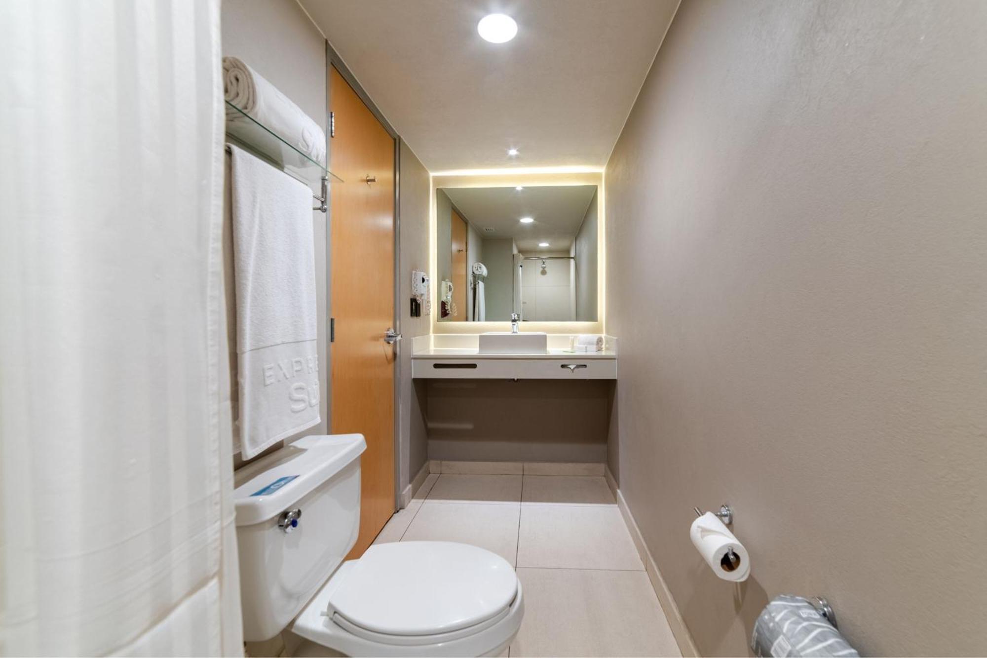 One-Bedroom Suite King or Twin Bed Sofa Bed