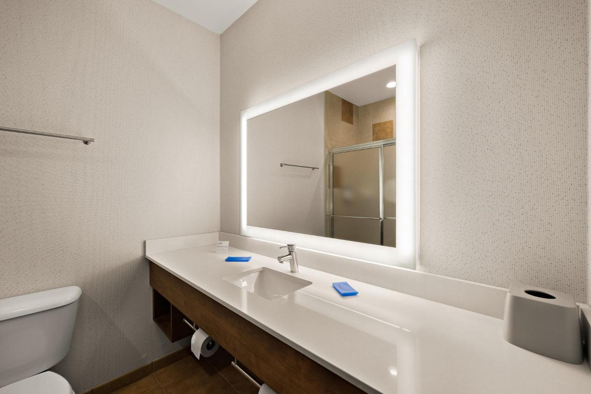 Suite Mobility Access Roll Shower or Non-Smoking