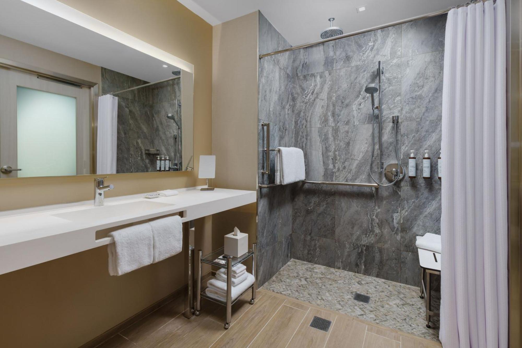 King Room Transfer Shower Roll Shower Mobility Access or Hearing Accessible