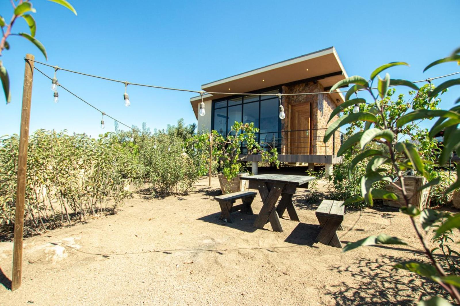 One-Bedroom Villa