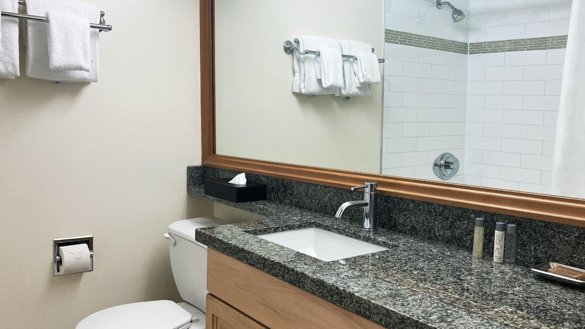 One-Bedroom Suite