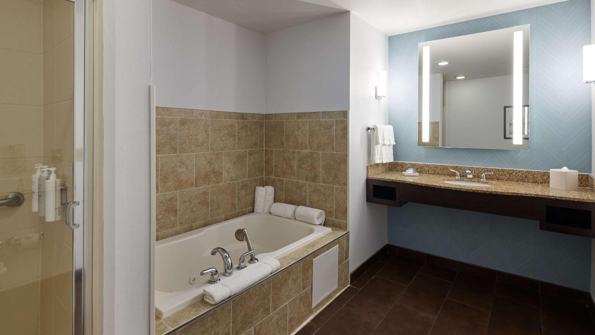 One-Bedroom King Suite