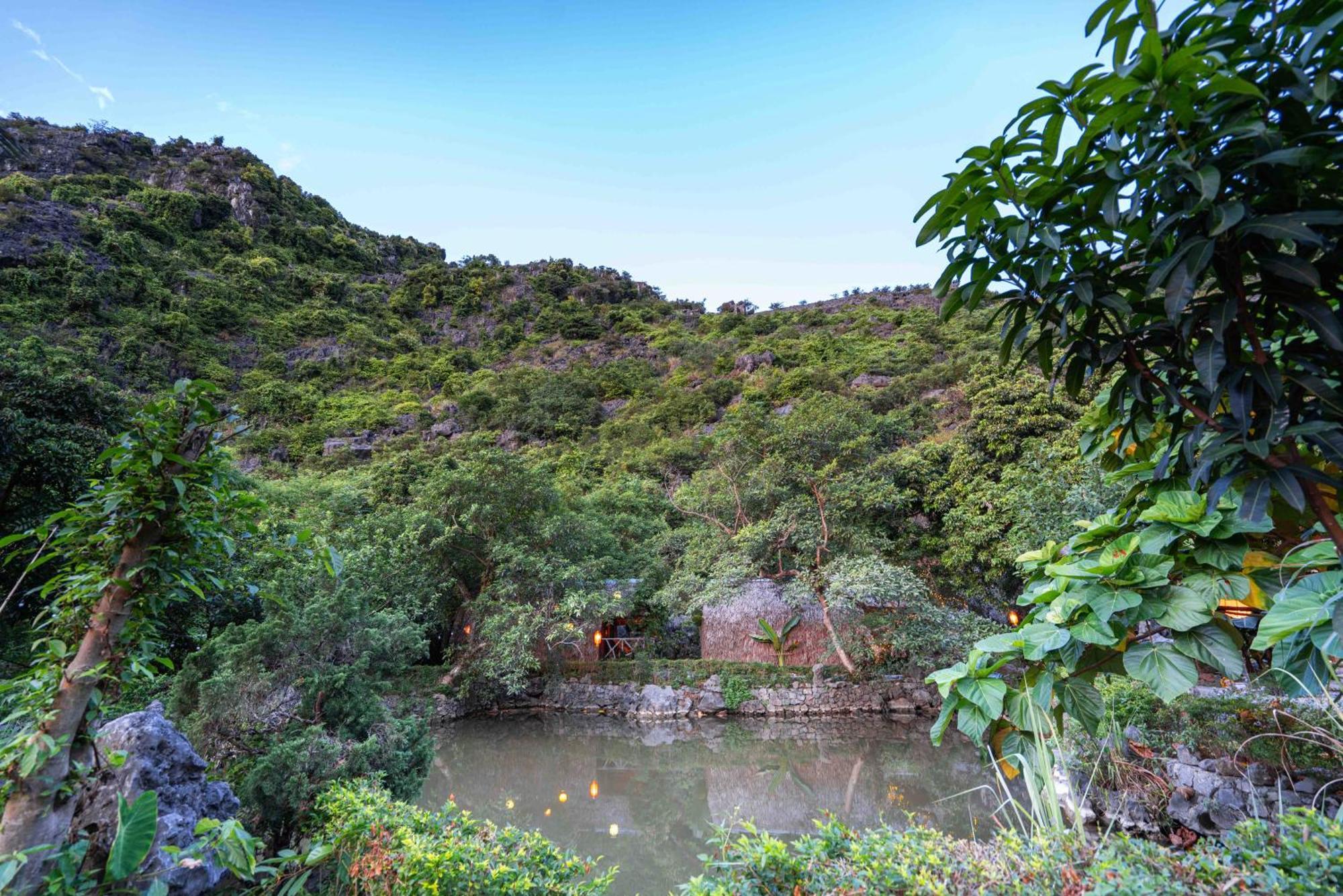 Bungalow