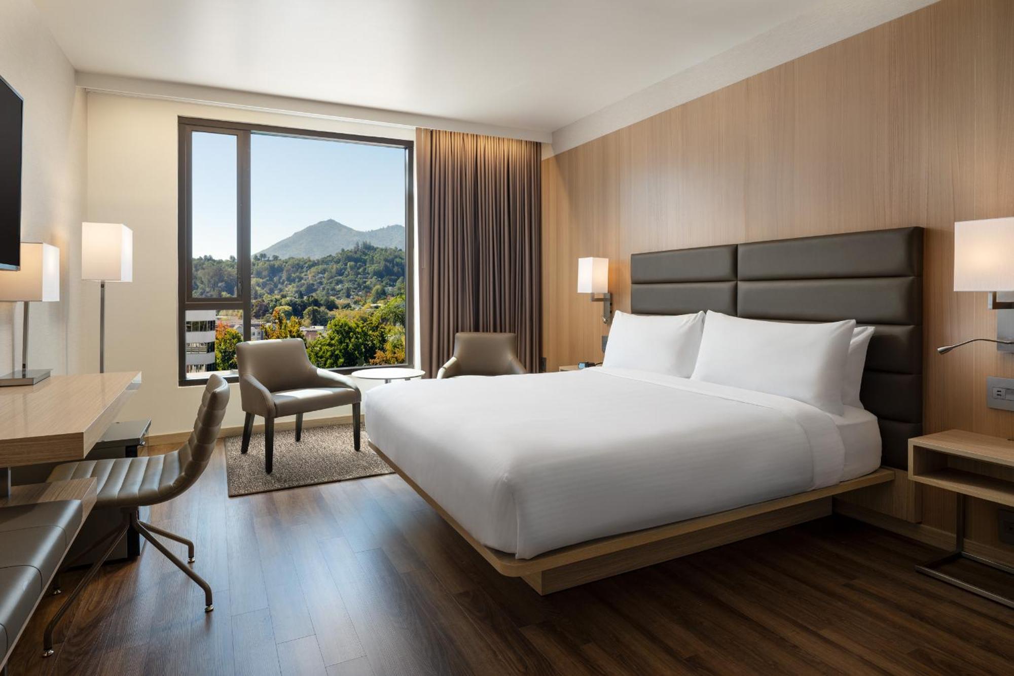 Premium Deluxe King Room with Mountain View