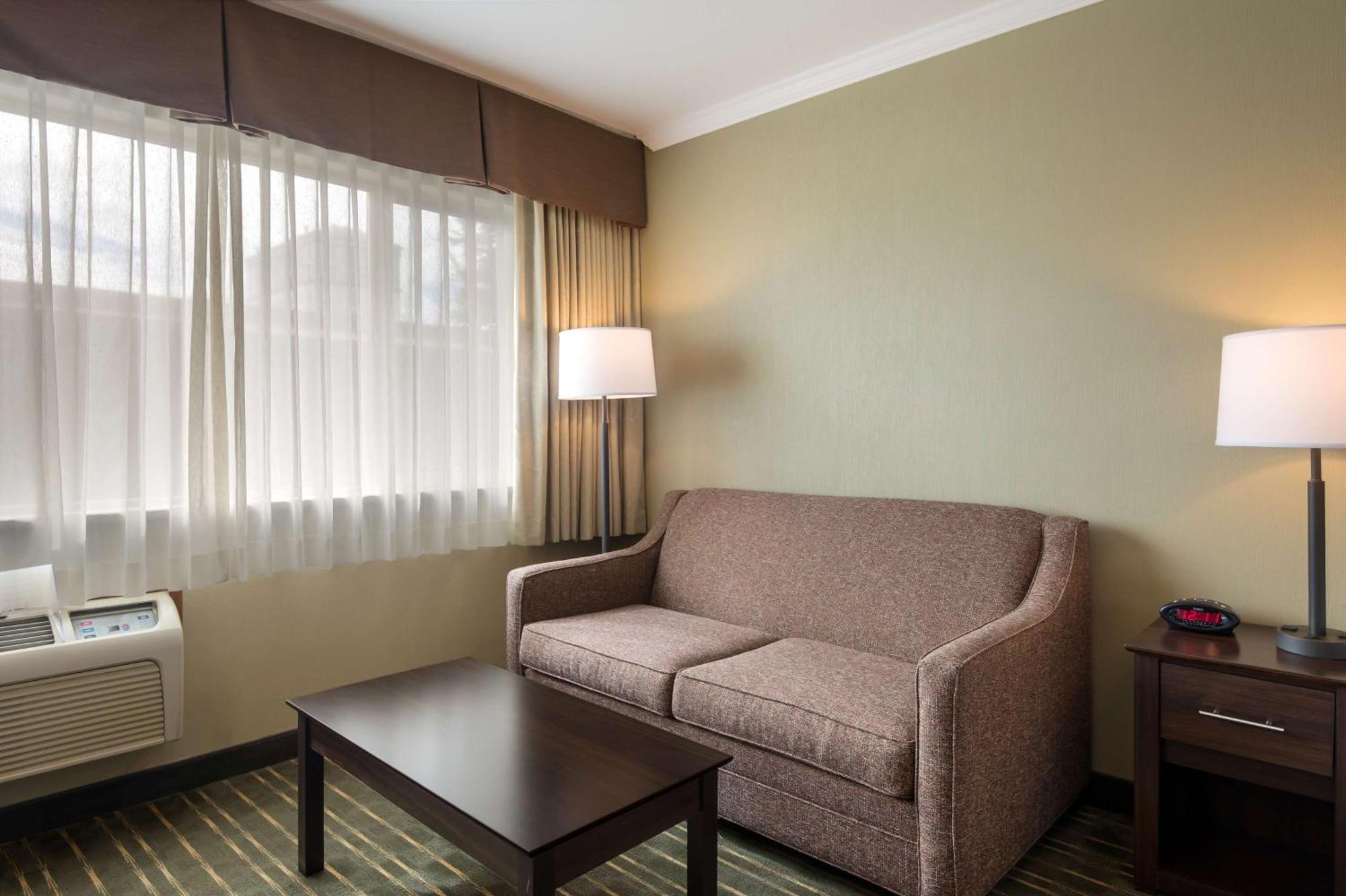 King Room Sofa Bed