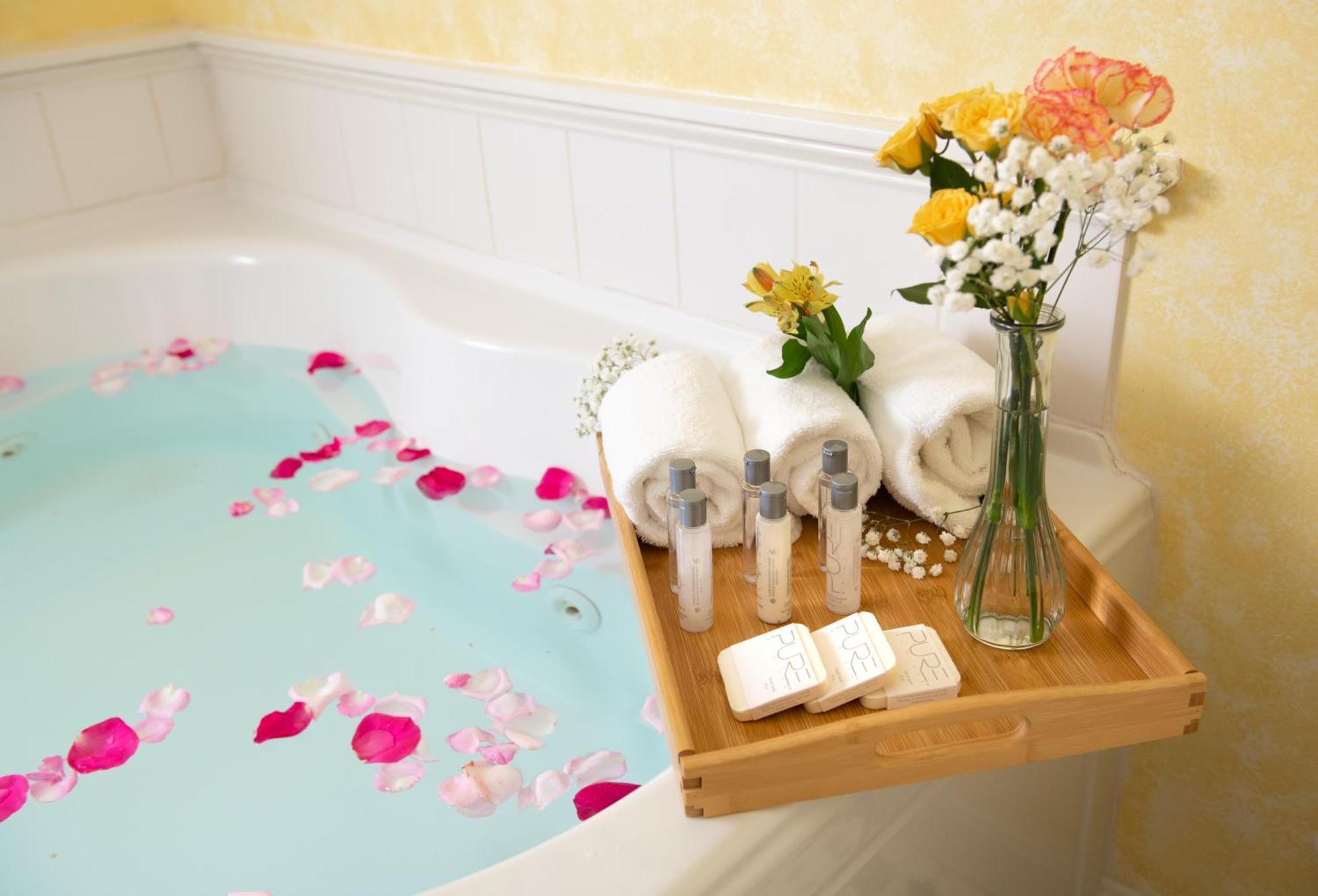 Apartment Suite Jetted Tub Pet Friendly