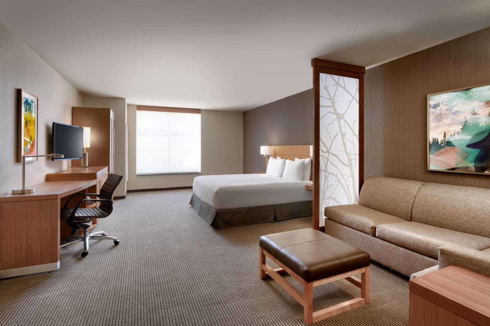 King Room with Sofa Bed and Accessible Tub