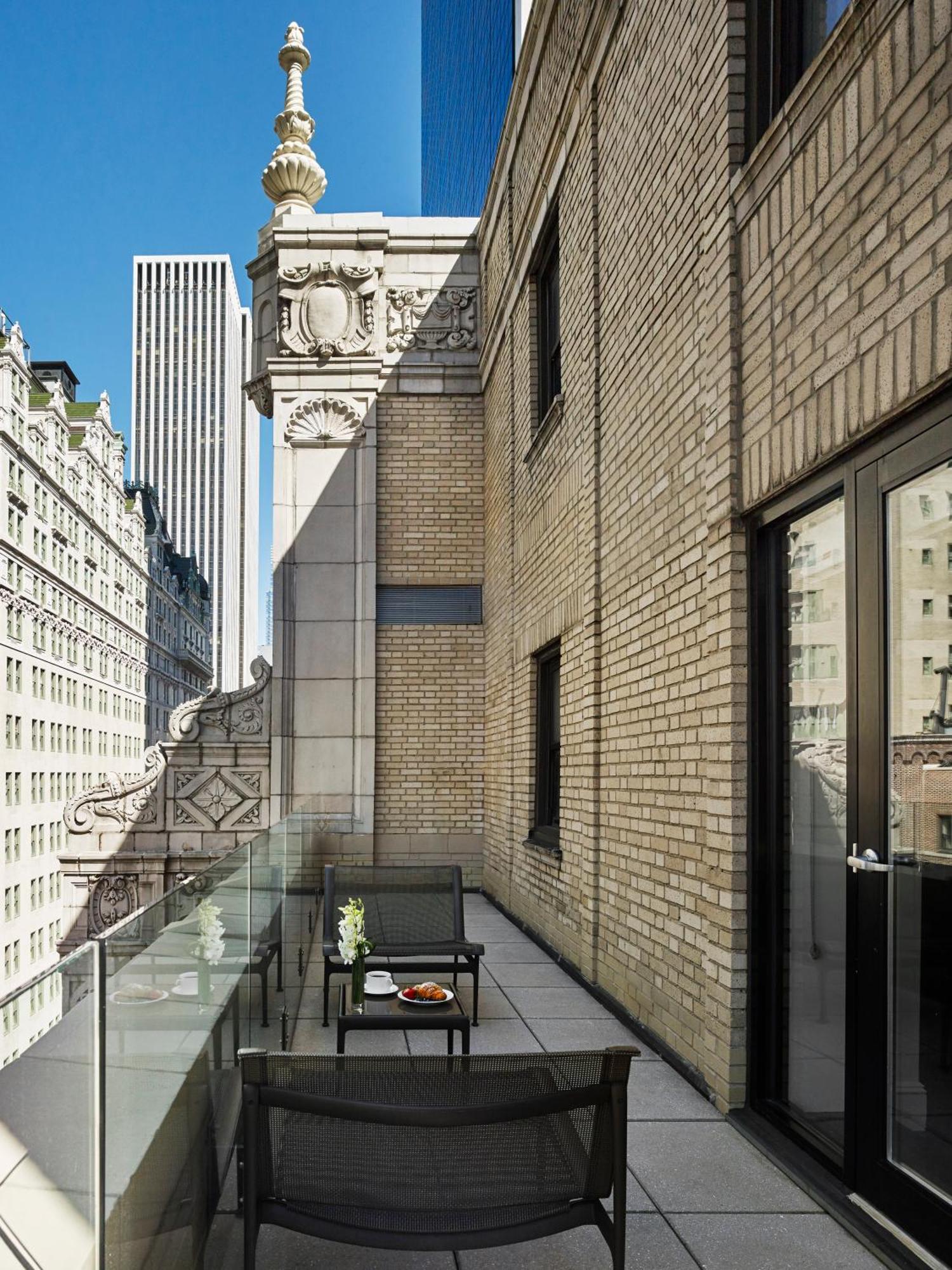 Studio Premium Terrace