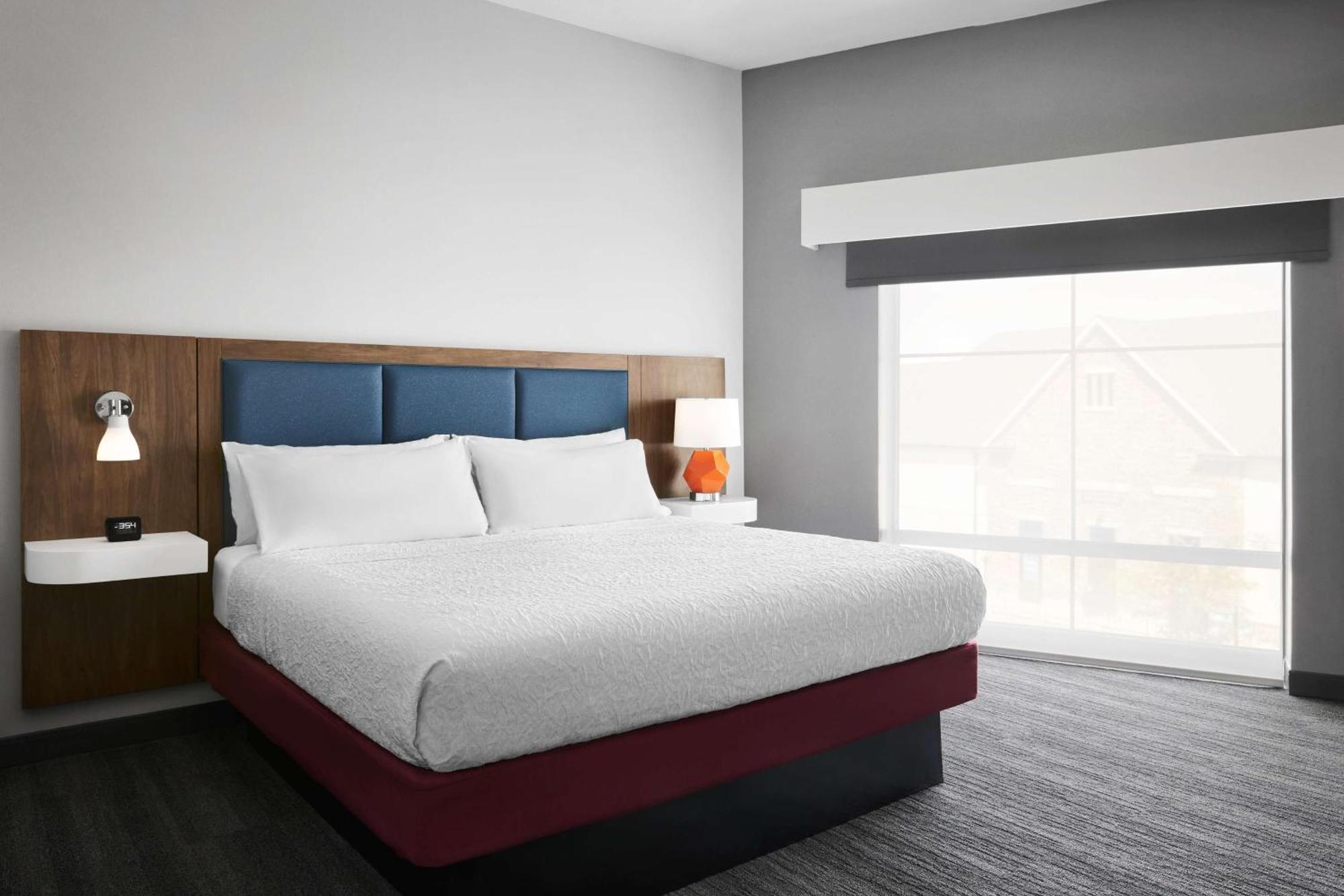 One-Bedroom King Suite