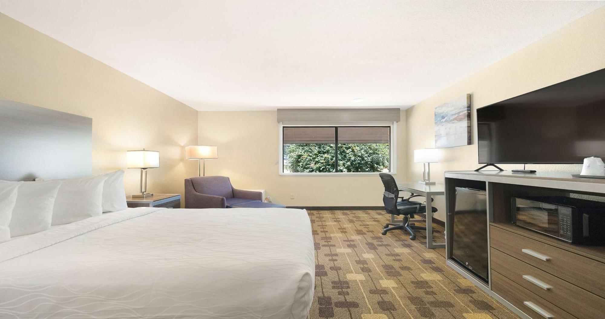King Room - Non-Smoking