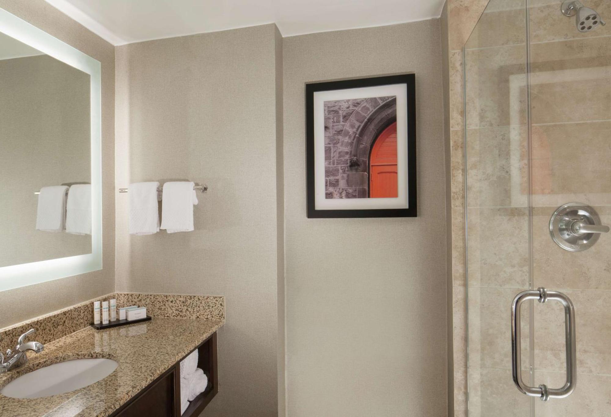 Two-Room King Suite Non-Smoking